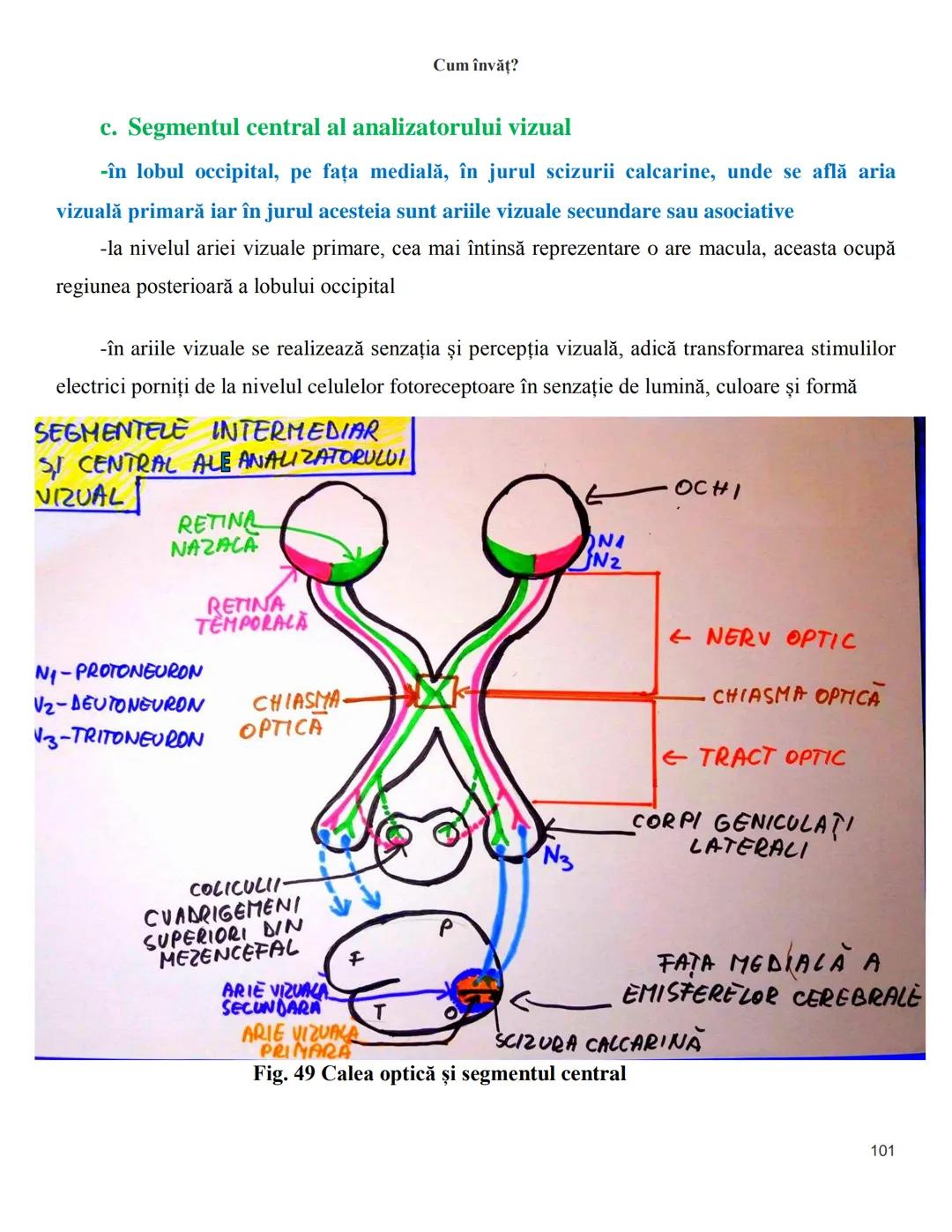 NOTITE ADMITETRE
MEDICINĂ
după Corint
2020
Vol. II
SISTEMUL NERVOS,
ANALIZATORII
Cum
invat?
Cum învăț? Cum
vat?
Cum învăţ?
YouTube
YouTube h