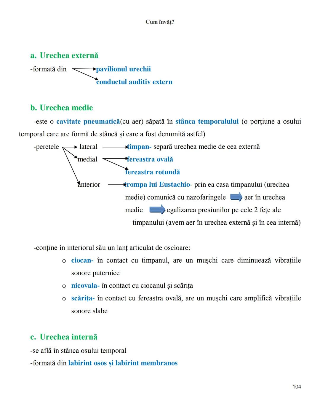 NOTITE ADMITETRE
MEDICINĂ
după Corint
2020
Vol. II
SISTEMUL NERVOS,
ANALIZATORII
Cum
invat?
Cum învăț? Cum
vat?
Cum învăţ?
YouTube
YouTube h