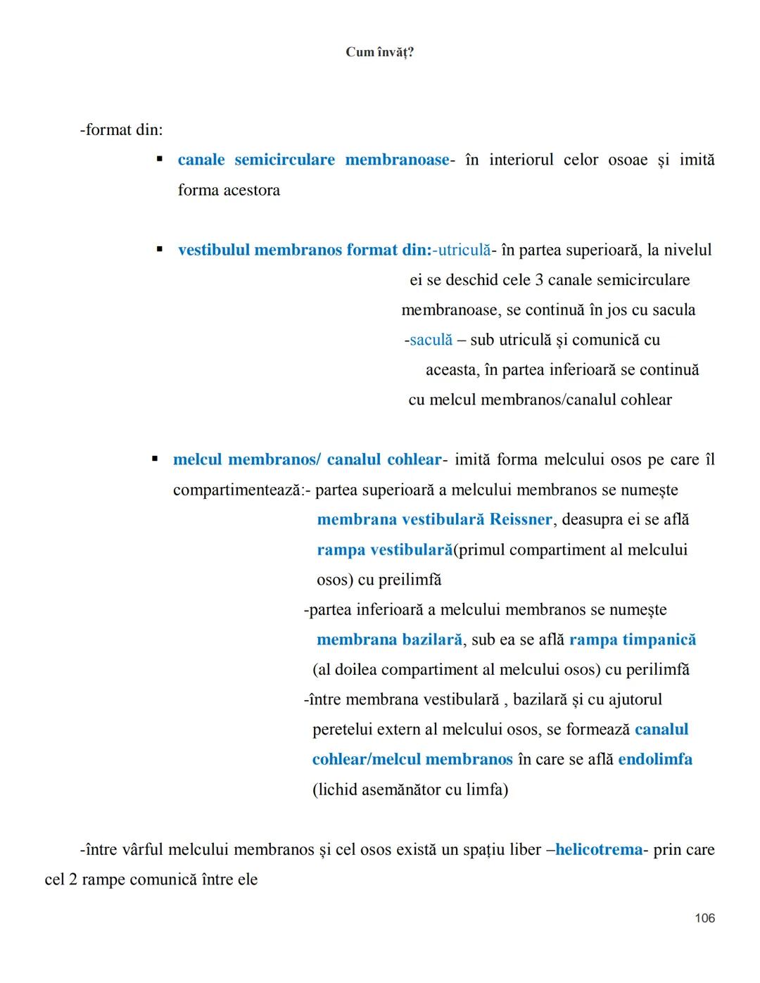 NOTITE ADMITETRE
MEDICINĂ
după Corint
2020
Vol. II
SISTEMUL NERVOS,
ANALIZATORII
Cum
invat?
Cum învăț? Cum
vat?
Cum învăţ?
YouTube
YouTube h