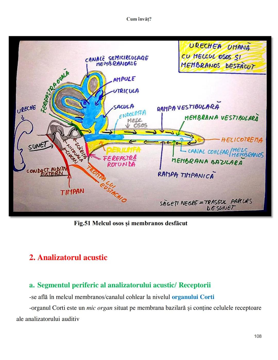 NOTITE ADMITETRE
MEDICINĂ
după Corint
2020
Vol. II
SISTEMUL NERVOS,
ANALIZATORII
Cum
invat?
Cum învăț? Cum
vat?
Cum învăţ?
YouTube
YouTube h