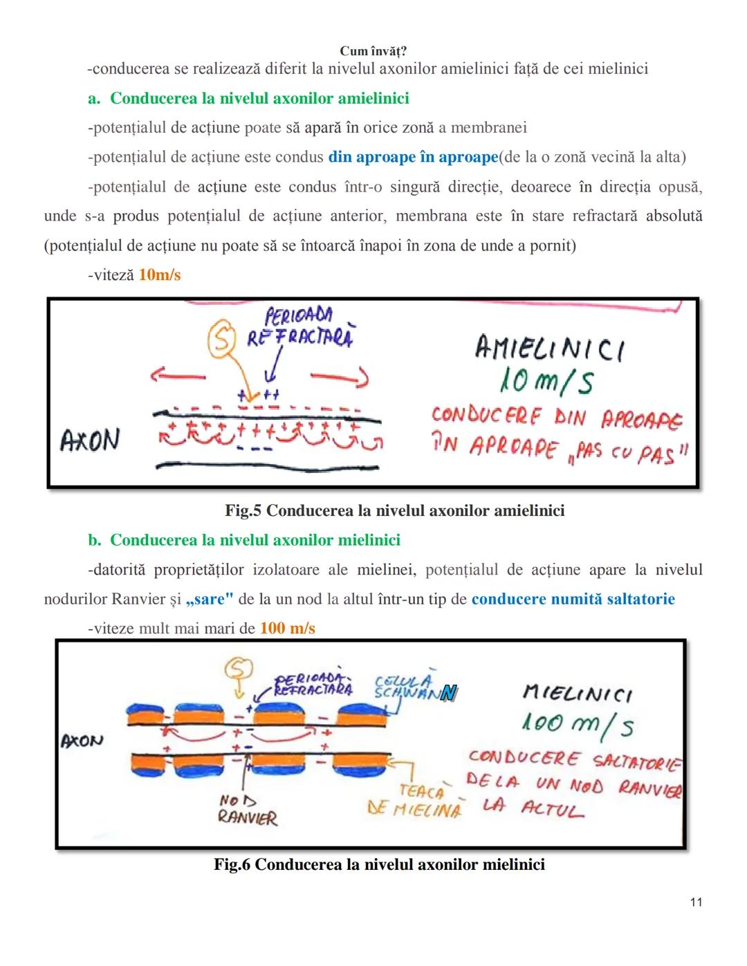 NOTITE ADMITETRE
MEDICINĂ
după Corint
2020
Vol. II
SISTEMUL NERVOS,
ANALIZATORII
Cum
invat?
Cum învăț? Cum
vat?
Cum învăţ?
YouTube
YouTube h