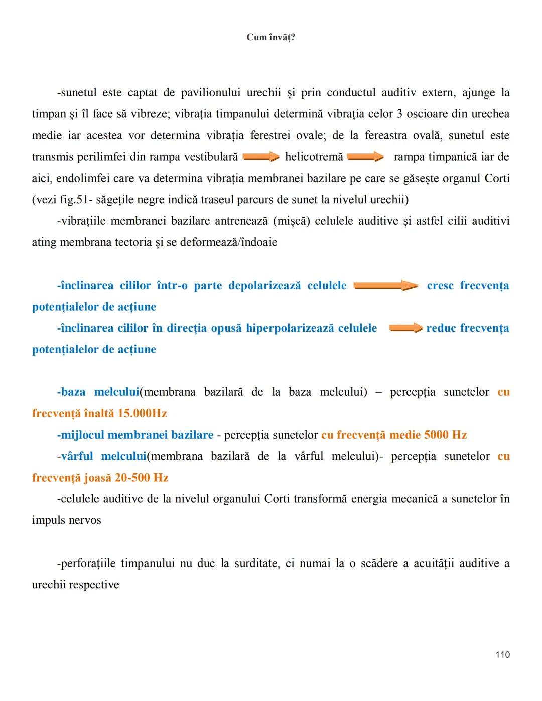 NOTITE ADMITETRE
MEDICINĂ
după Corint
2020
Vol. II
SISTEMUL NERVOS,
ANALIZATORII
Cum
invat?
Cum învăț? Cum
vat?
Cum învăţ?
YouTube
YouTube h