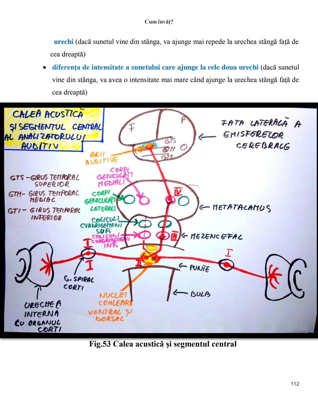 NOTITE ADMITETRE
MEDICINĂ
după Corint
2020
Vol. II
SISTEMUL NERVOS,
ANALIZATORII
Cum
invat?
Cum învăț? Cum
vat?
Cum învăţ?
YouTube
YouTube h