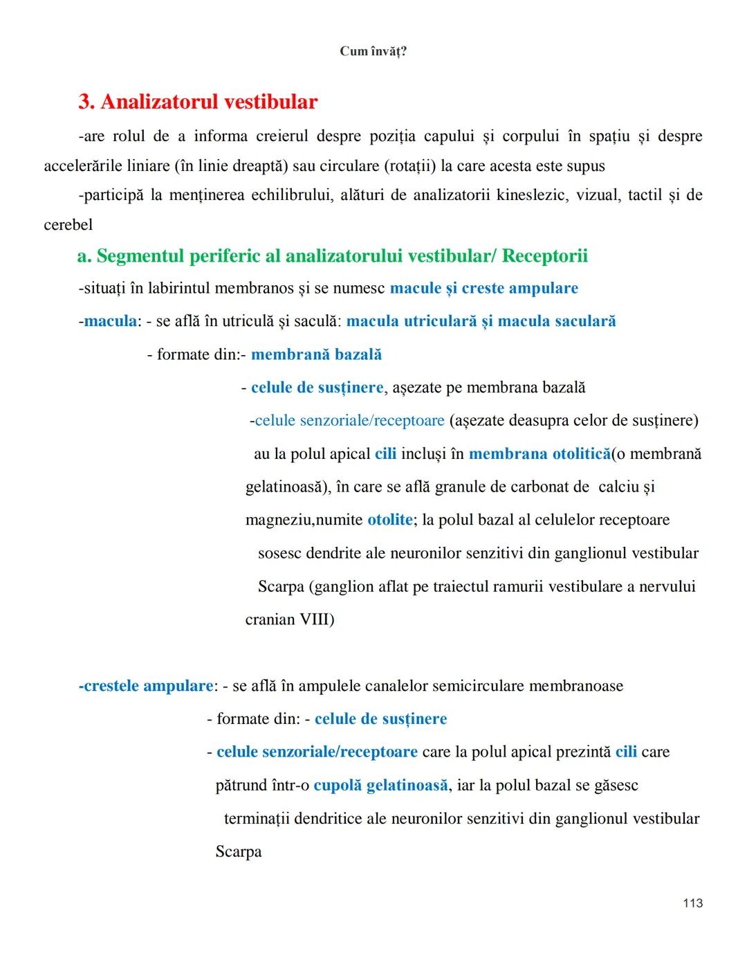 NOTITE ADMITETRE
MEDICINĂ
după Corint
2020
Vol. II
SISTEMUL NERVOS,
ANALIZATORII
Cum
invat?
Cum învăț? Cum
vat?
Cum învăţ?
YouTube
YouTube h