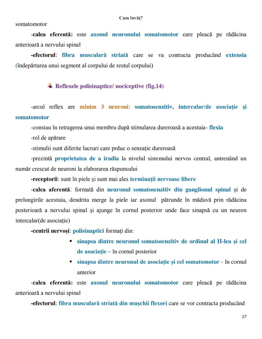NOTITE ADMITETRE
MEDICINĂ
după Corint
2020
Vol. II
SISTEMUL NERVOS,
ANALIZATORII
Cum
invat?
Cum învăț? Cum
vat?
Cum învăţ?
YouTube
YouTube h