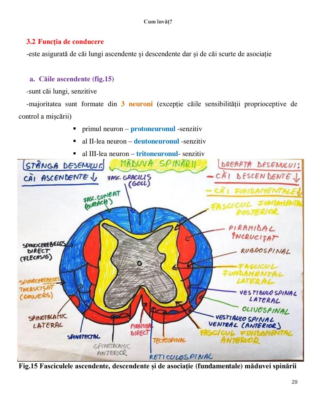 NOTITE ADMITETRE
MEDICINĂ
după Corint
2020
Vol. II
SISTEMUL NERVOS,
ANALIZATORII
Cum
invat?
Cum învăț? Cum
vat?
Cum învăţ?
YouTube
YouTube h