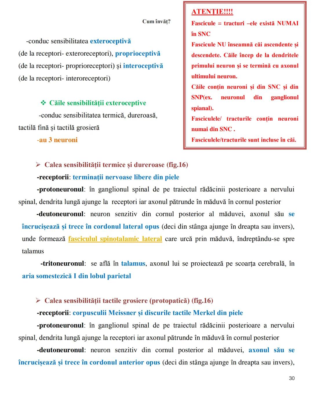 NOTITE ADMITETRE
MEDICINĂ
după Corint
2020
Vol. II
SISTEMUL NERVOS,
ANALIZATORII
Cum
invat?
Cum învăț? Cum
vat?
Cum învăţ?
YouTube
YouTube h