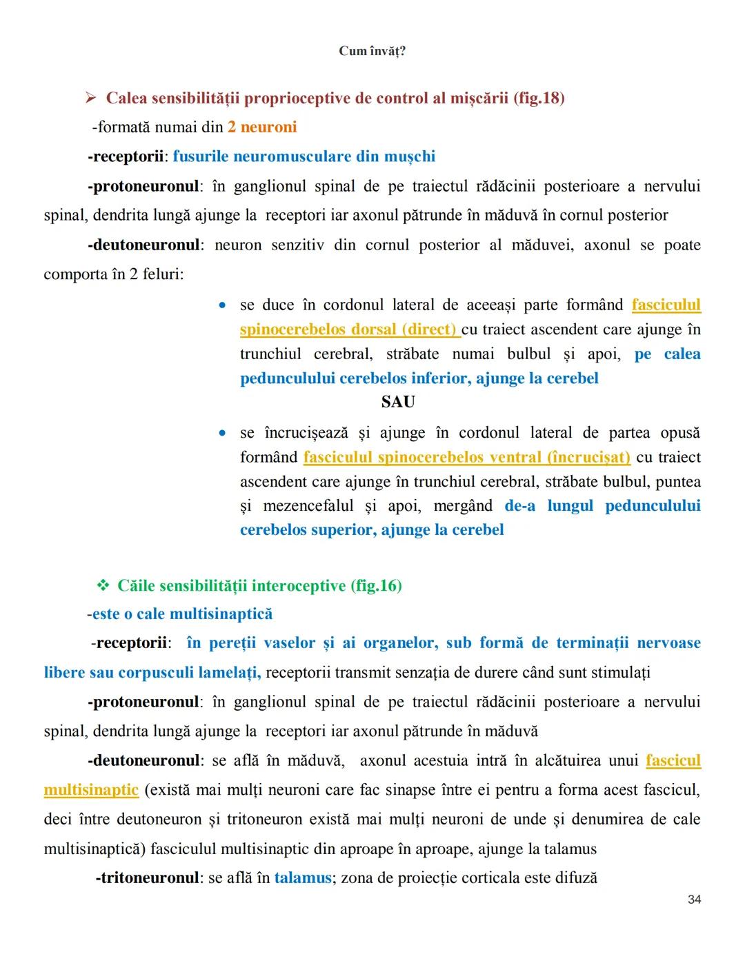 NOTITE ADMITETRE
MEDICINĂ
după Corint
2020
Vol. II
SISTEMUL NERVOS,
ANALIZATORII
Cum
invat?
Cum învăț? Cum
vat?
Cum învăţ?
YouTube
YouTube h