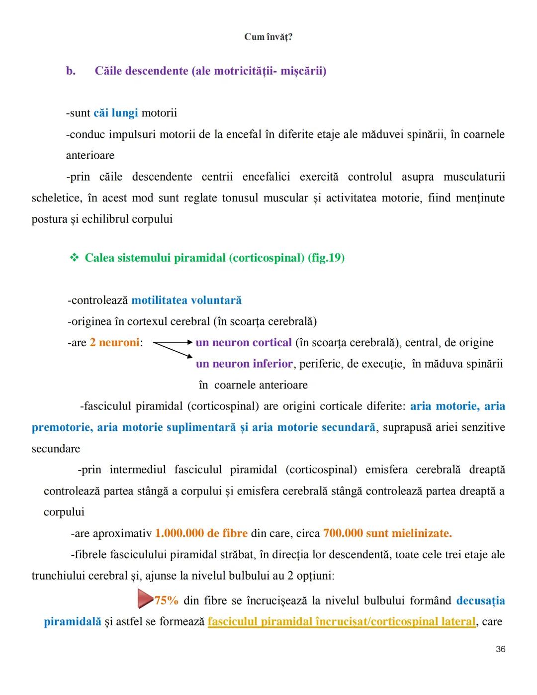 NOTITE ADMITETRE
MEDICINĂ
după Corint
2020
Vol. II
SISTEMUL NERVOS,
ANALIZATORII
Cum
invat?
Cum învăț? Cum
vat?
Cum învăţ?
YouTube
YouTube h