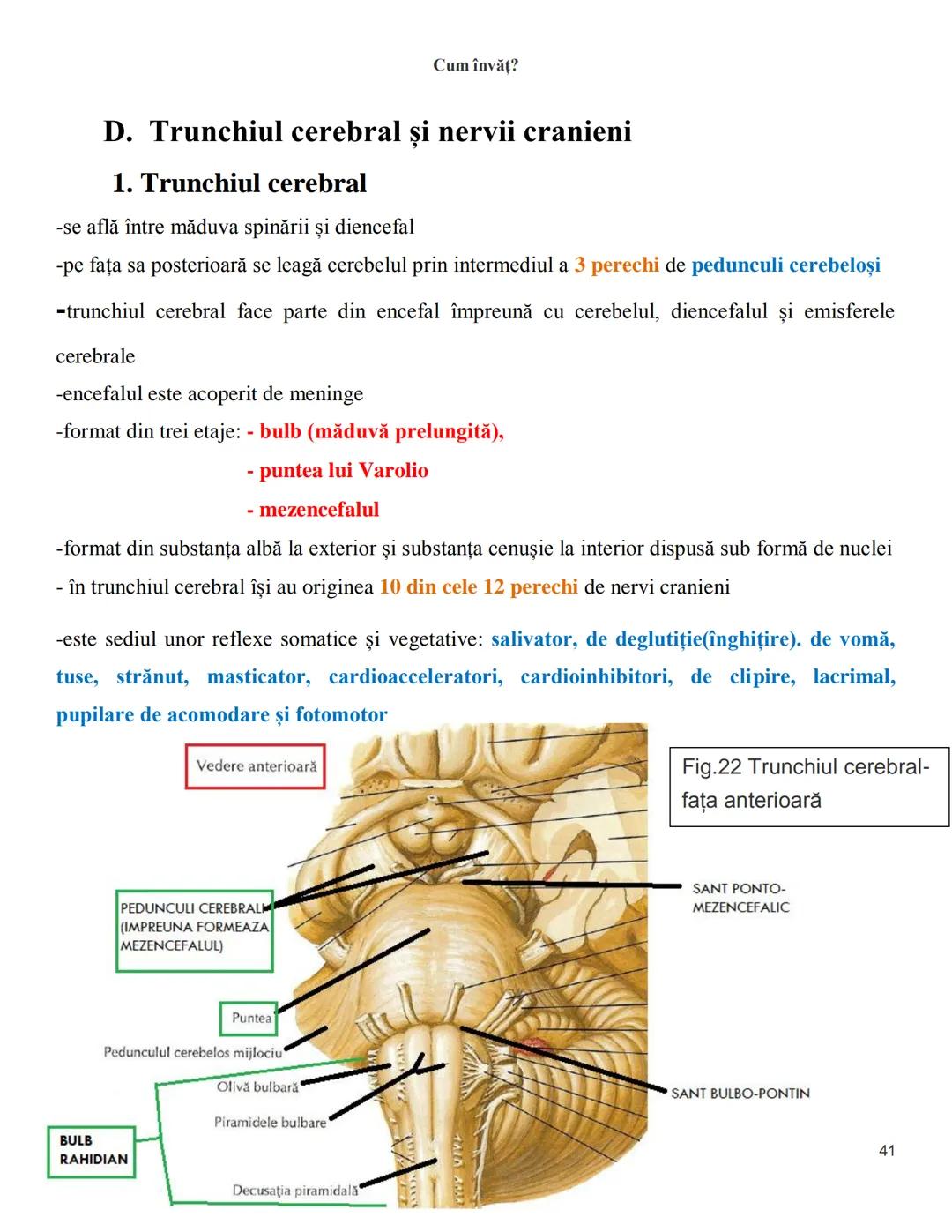 NOTITE ADMITETRE
MEDICINĂ
după Corint
2020
Vol. II
SISTEMUL NERVOS,
ANALIZATORII
Cum
invat?
Cum învăț? Cum
vat?
Cum învăţ?
YouTube
YouTube h