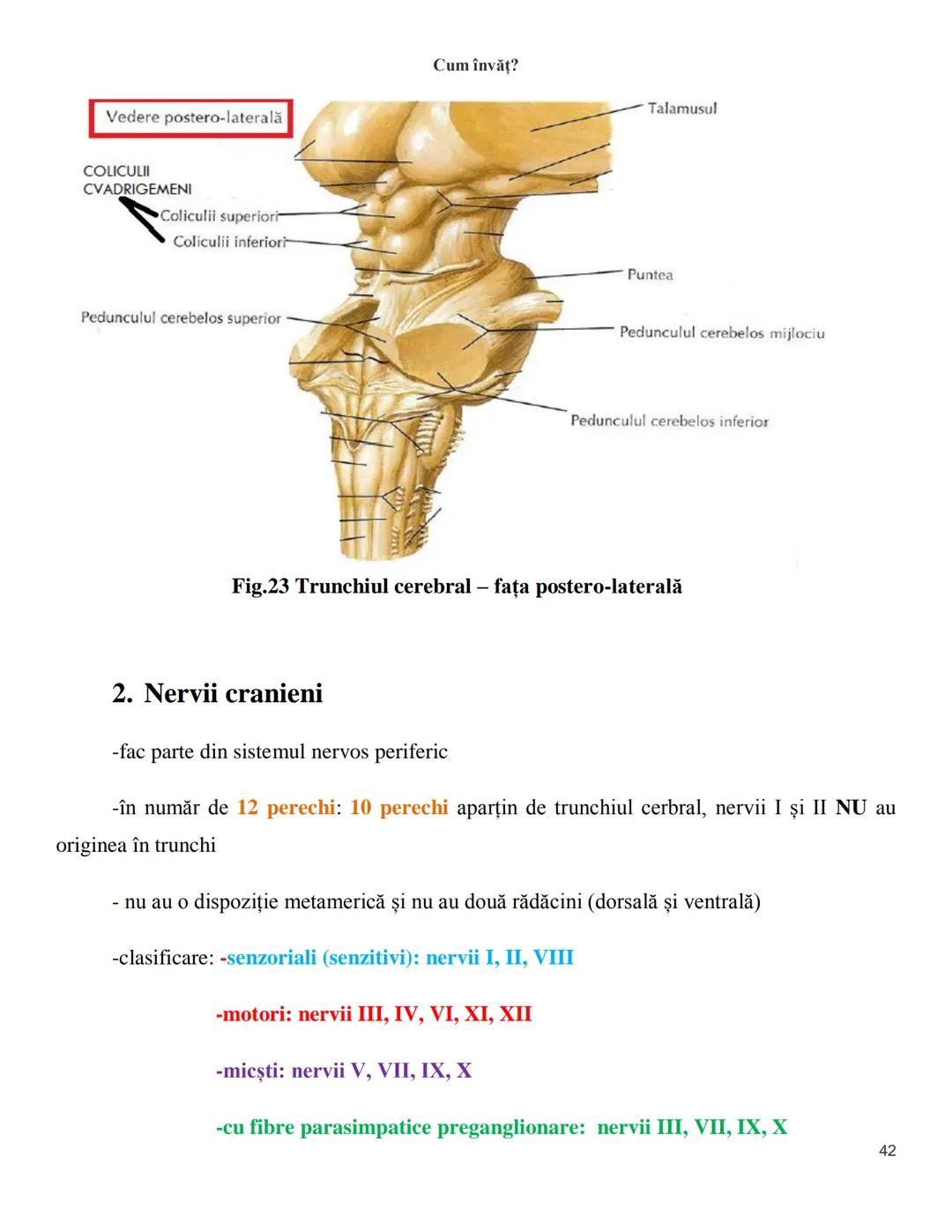 NOTITE ADMITETRE
MEDICINĂ
după Corint
2020
Vol. II
SISTEMUL NERVOS,
ANALIZATORII
Cum
invat?
Cum învăț? Cum
vat?
Cum învăţ?
YouTube
YouTube h