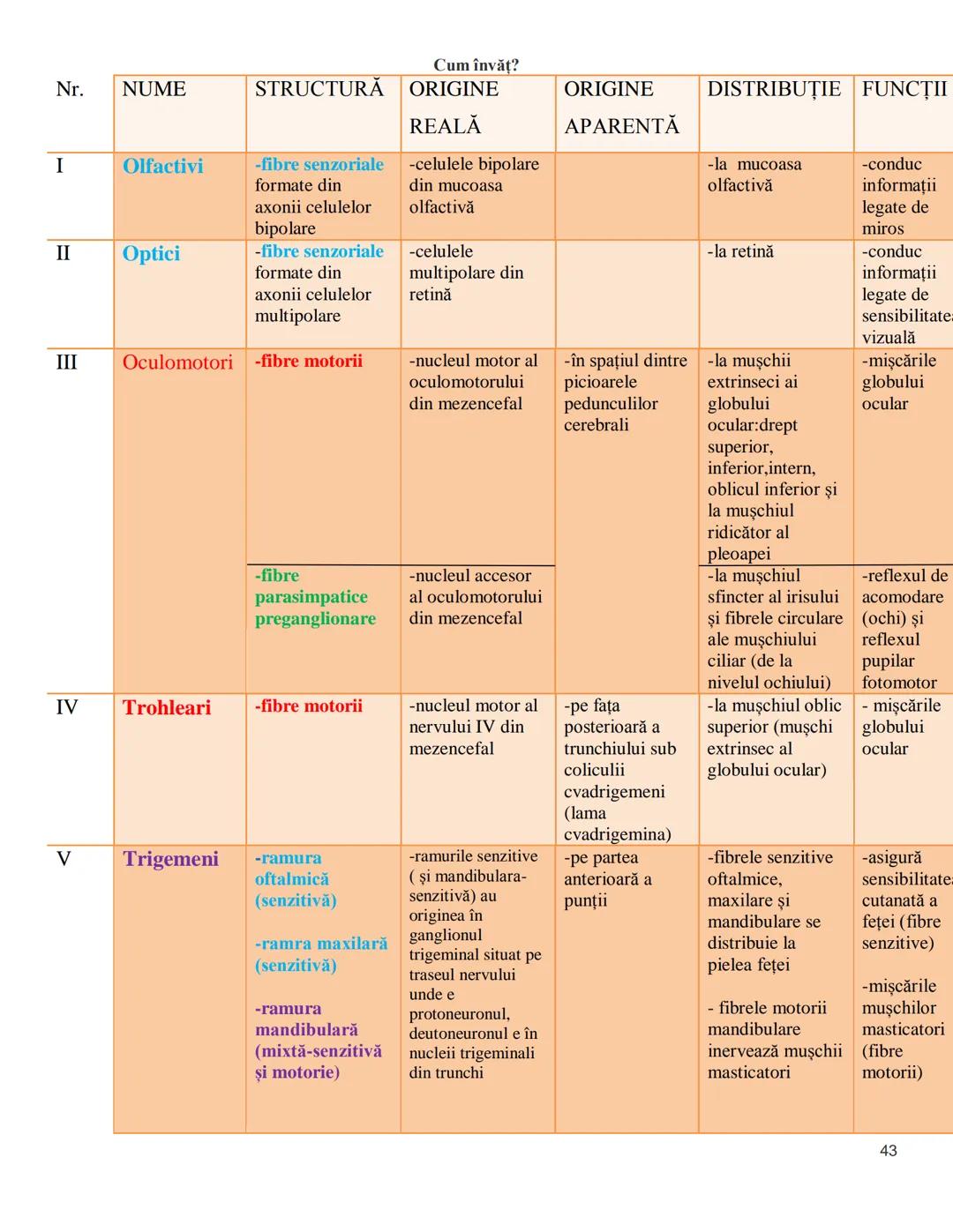 NOTITE ADMITETRE
MEDICINĂ
după Corint
2020
Vol. II
SISTEMUL NERVOS,
ANALIZATORII
Cum
invat?
Cum învăț? Cum
vat?
Cum învăţ?
YouTube
YouTube h