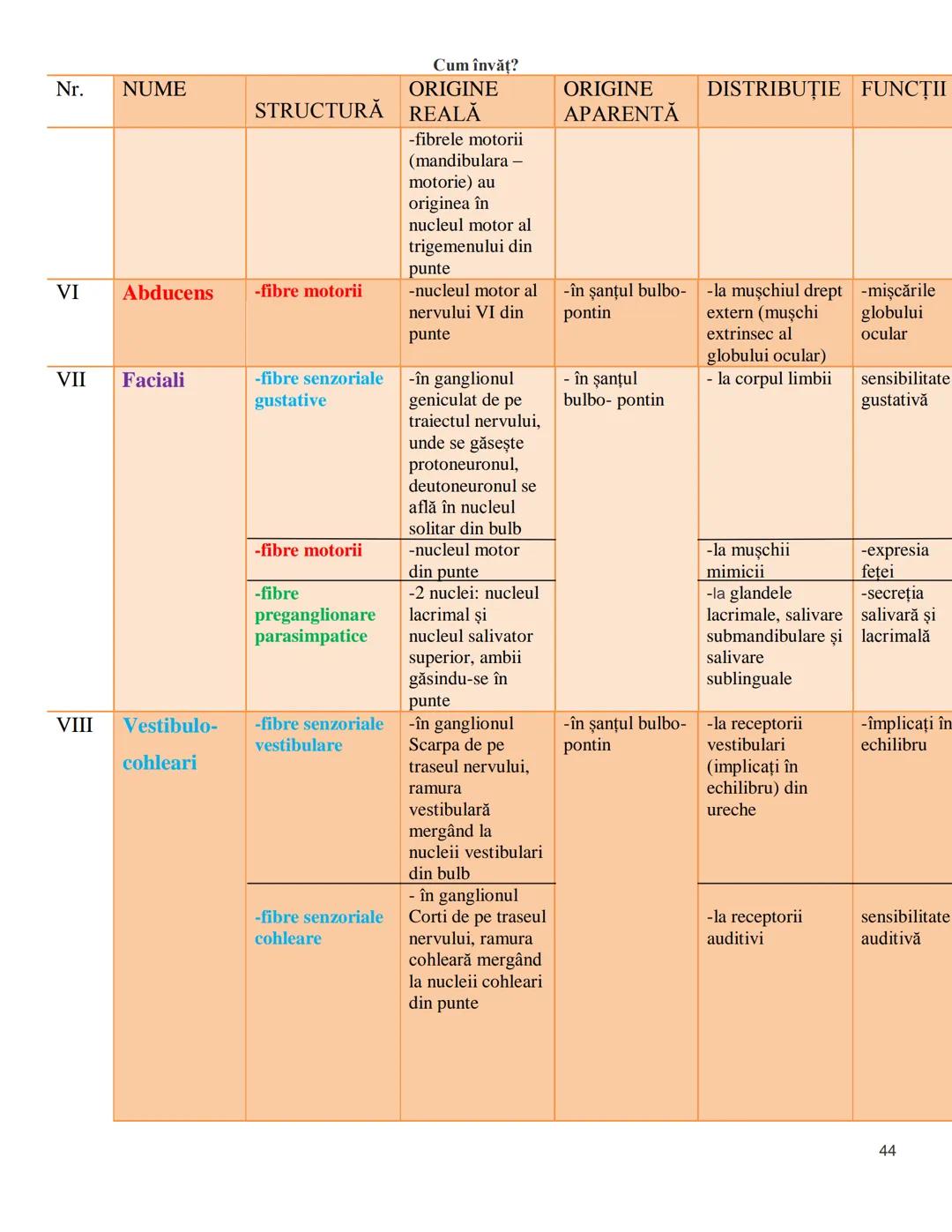 NOTITE ADMITETRE
MEDICINĂ
după Corint
2020
Vol. II
SISTEMUL NERVOS,
ANALIZATORII
Cum
invat?
Cum învăț? Cum
vat?
Cum învăţ?
YouTube
YouTube h