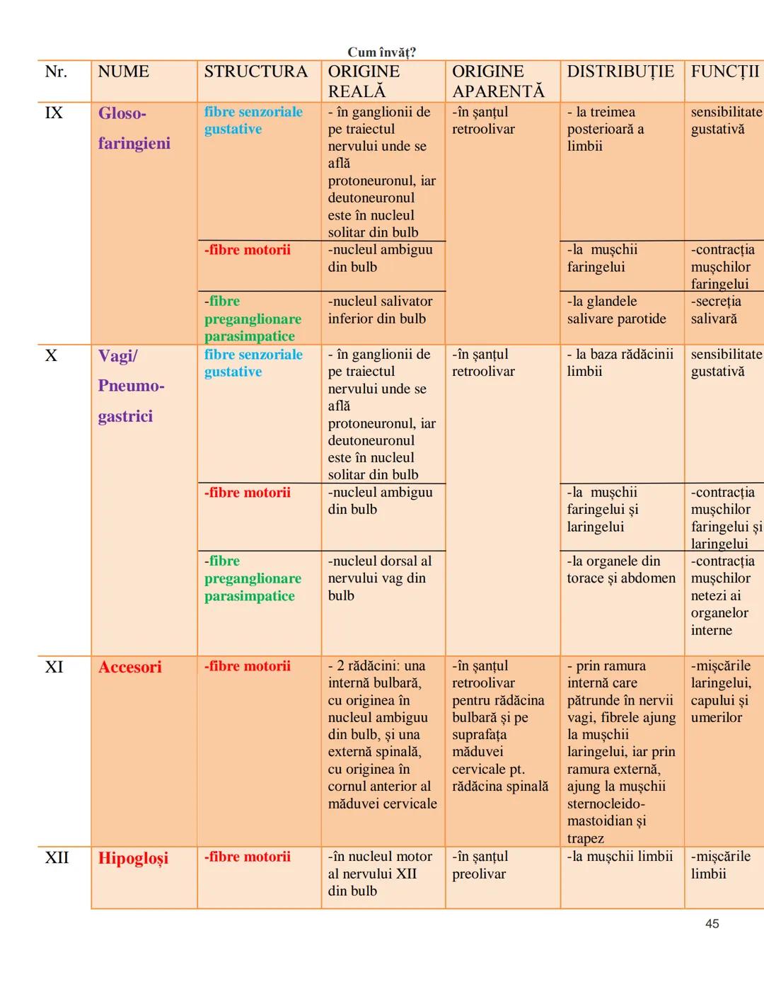 NOTITE ADMITETRE
MEDICINĂ
după Corint
2020
Vol. II
SISTEMUL NERVOS,
ANALIZATORII
Cum
invat?
Cum învăț? Cum
vat?
Cum învăţ?
YouTube
YouTube h