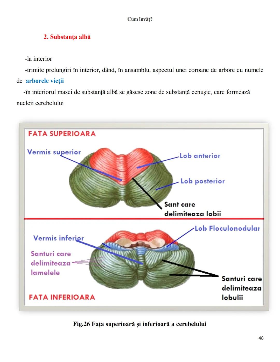 NOTITE ADMITETRE
MEDICINĂ
după Corint
2020
Vol. II
SISTEMUL NERVOS,
ANALIZATORII
Cum
invat?
Cum învăț? Cum
vat?
Cum învăţ?
YouTube
YouTube h