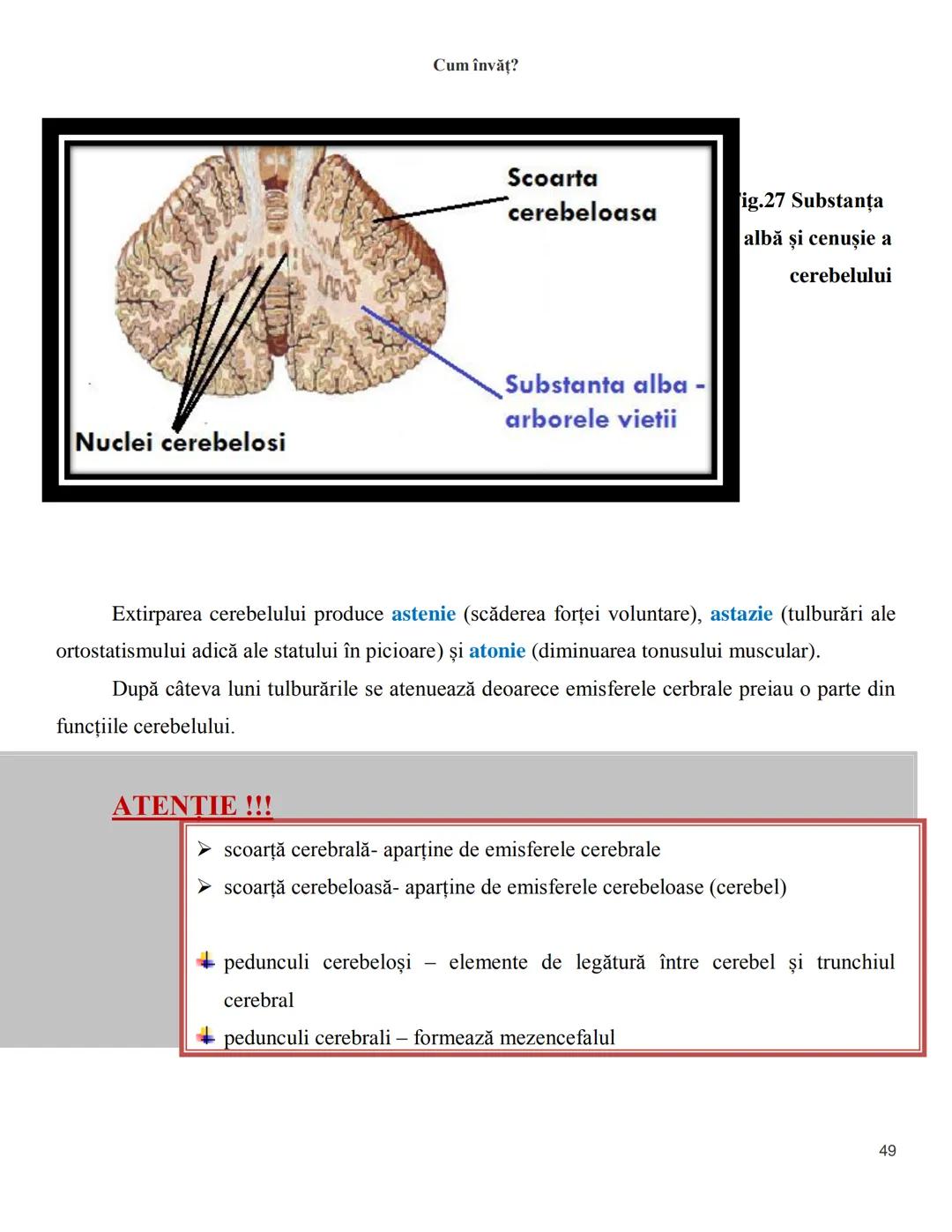 NOTITE ADMITETRE
MEDICINĂ
după Corint
2020
Vol. II
SISTEMUL NERVOS,
ANALIZATORII
Cum
invat?
Cum învăț? Cum
vat?
Cum învăţ?
YouTube
YouTube h