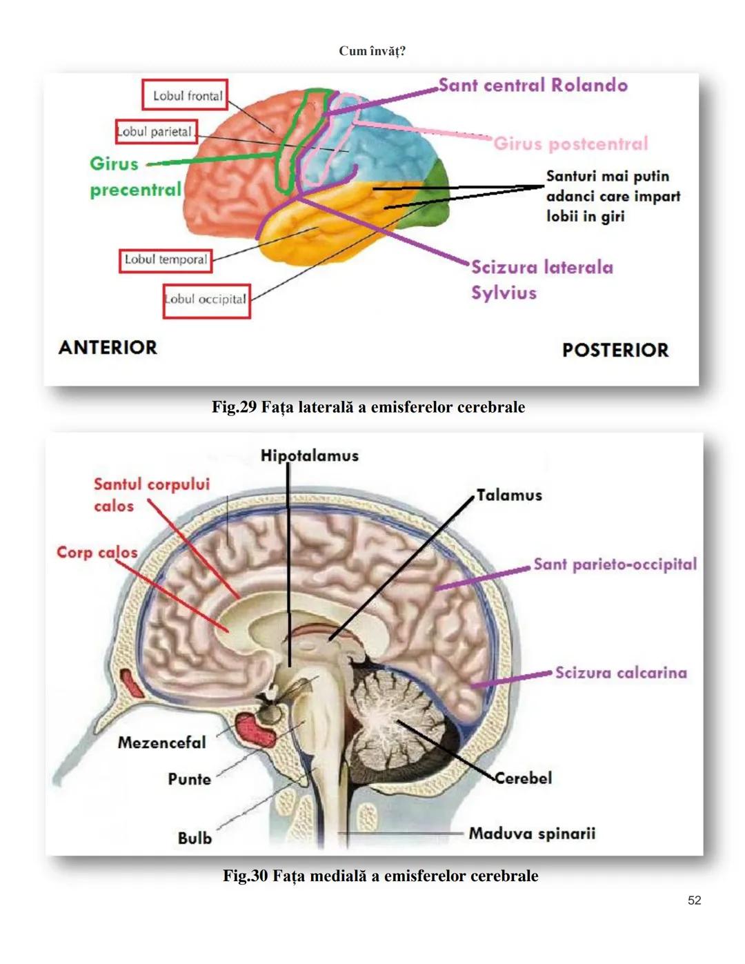 NOTITE ADMITETRE
MEDICINĂ
după Corint
2020
Vol. II
SISTEMUL NERVOS,
ANALIZATORII
Cum
invat?
Cum învăț? Cum
vat?
Cum învăţ?
YouTube
YouTube h