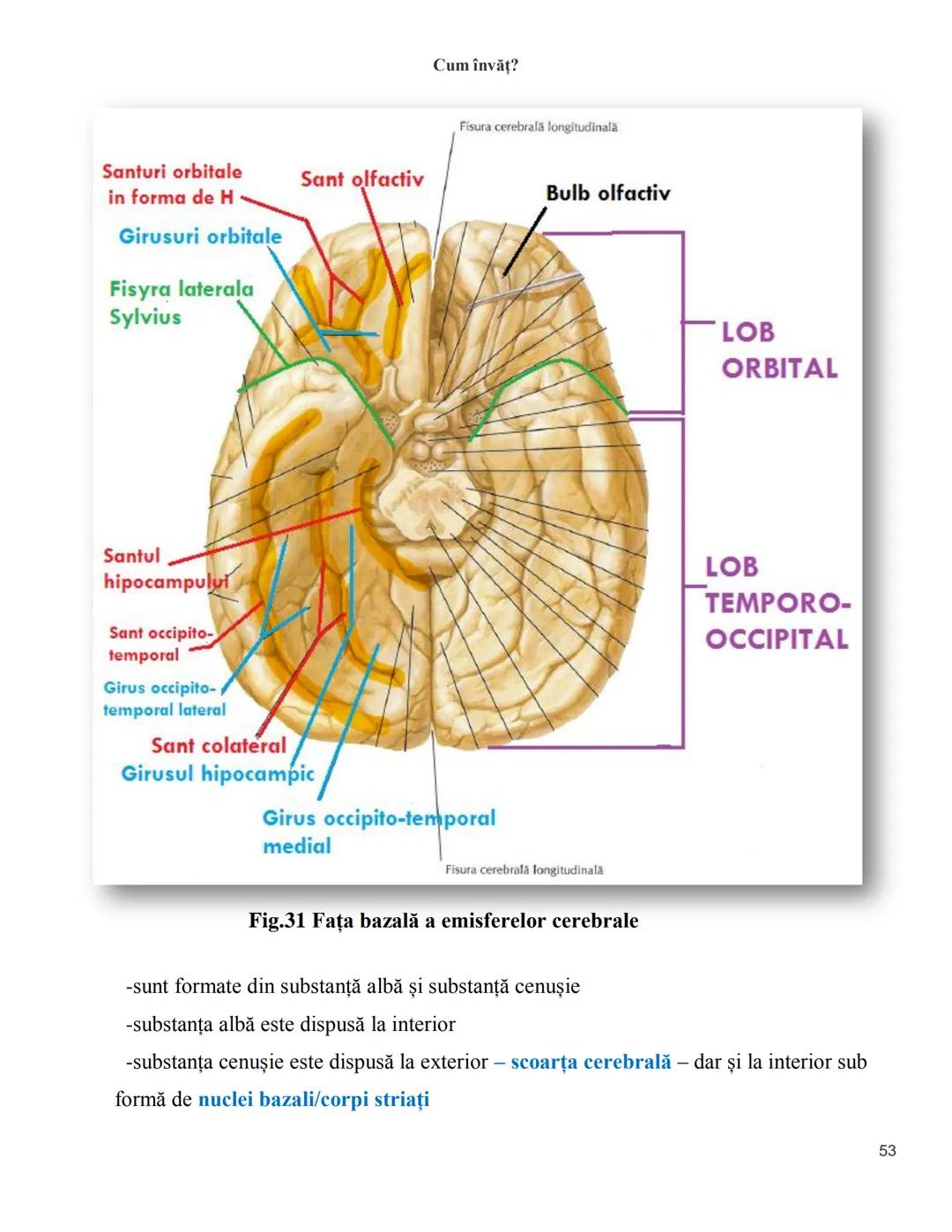 NOTITE ADMITETRE
MEDICINĂ
după Corint
2020
Vol. II
SISTEMUL NERVOS,
ANALIZATORII
Cum
invat?
Cum învăț? Cum
vat?
Cum învăţ?
YouTube
YouTube h