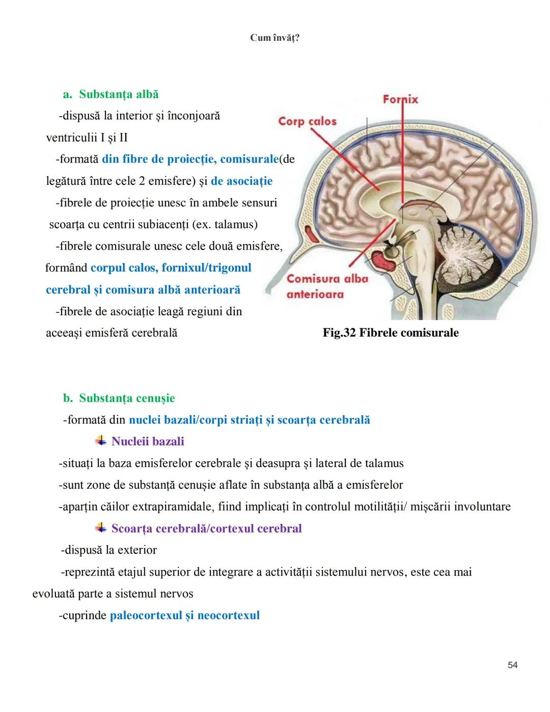 NOTITE ADMITETRE
MEDICINĂ
după Corint
2020
Vol. II
SISTEMUL NERVOS,
ANALIZATORII
Cum
invat?
Cum învăț? Cum
vat?
Cum învăţ?
YouTube
YouTube h