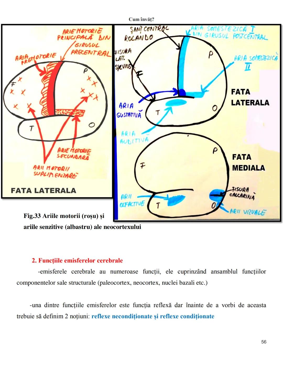 NOTITE ADMITETRE
MEDICINĂ
după Corint
2020
Vol. II
SISTEMUL NERVOS,
ANALIZATORII
Cum
invat?
Cum învăț? Cum
vat?
Cum învăţ?
YouTube
YouTube h