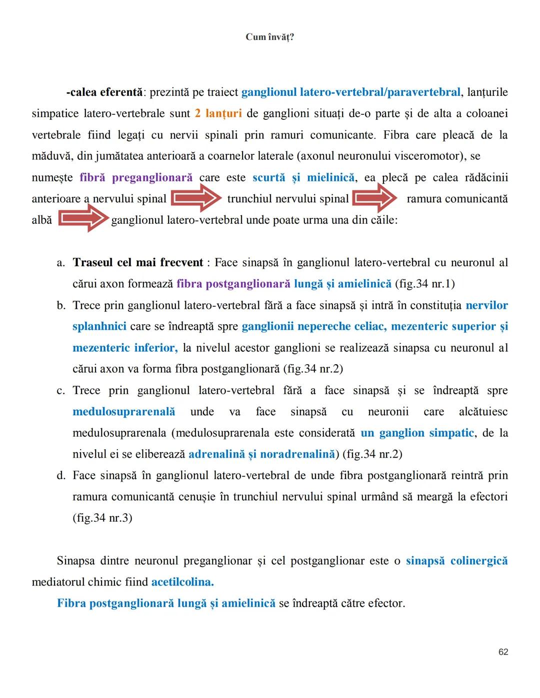 NOTITE ADMITETRE
MEDICINĂ
după Corint
2020
Vol. II
SISTEMUL NERVOS,
ANALIZATORII
Cum
invat?
Cum învăț? Cum
vat?
Cum învăţ?
YouTube
YouTube h