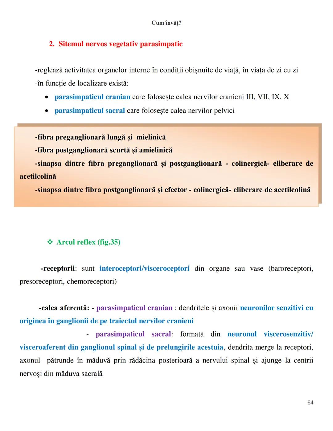 NOTITE ADMITETRE
MEDICINĂ
după Corint
2020
Vol. II
SISTEMUL NERVOS,
ANALIZATORII
Cum
invat?
Cum învăț? Cum
vat?
Cum învăţ?
YouTube
YouTube h