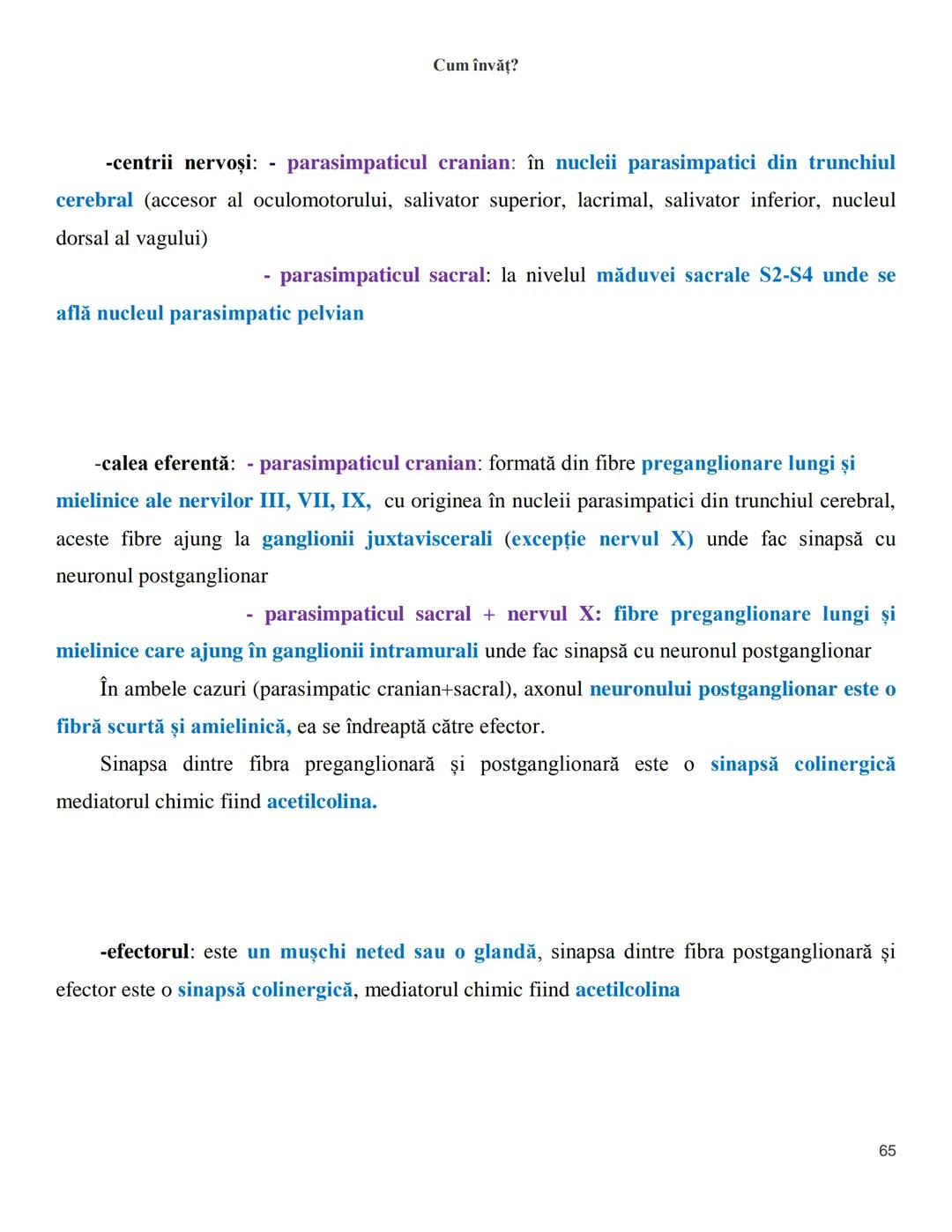 NOTITE ADMITETRE
MEDICINĂ
după Corint
2020
Vol. II
SISTEMUL NERVOS,
ANALIZATORII
Cum
invat?
Cum învăț? Cum
vat?
Cum învăţ?
YouTube
YouTube h