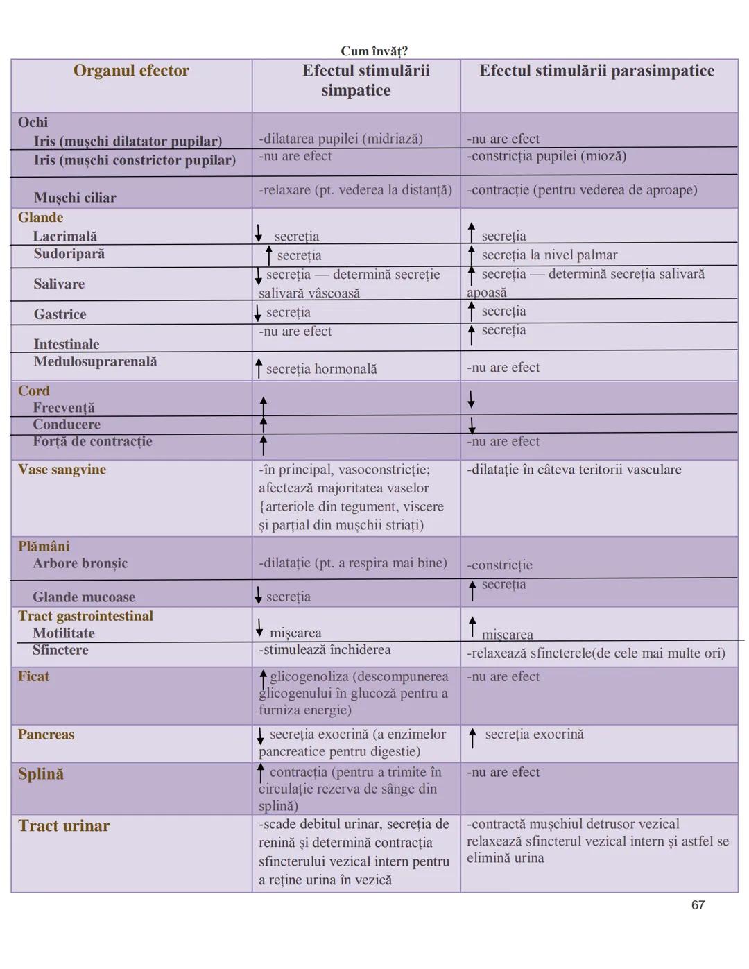 NOTITE ADMITETRE
MEDICINĂ
după Corint
2020
Vol. II
SISTEMUL NERVOS,
ANALIZATORII
Cum
invat?
Cum învăț? Cum
vat?
Cum învăţ?
YouTube
YouTube h
