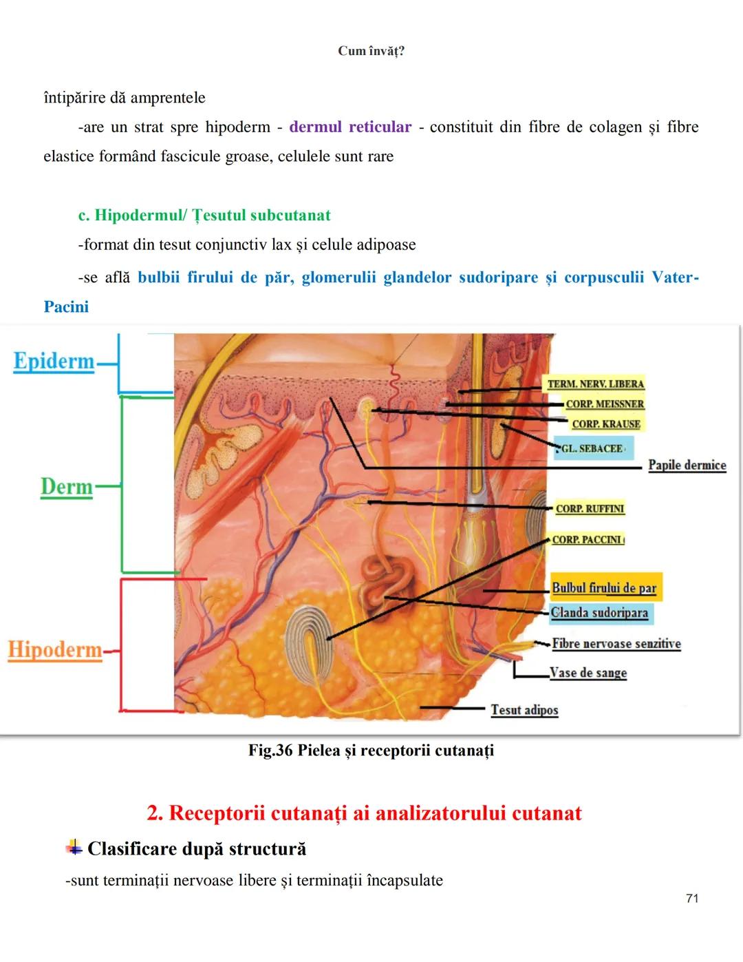 NOTITE ADMITETRE
MEDICINĂ
după Corint
2020
Vol. II
SISTEMUL NERVOS,
ANALIZATORII
Cum
invat?
Cum învăț? Cum
vat?
Cum învăţ?
YouTube
YouTube h