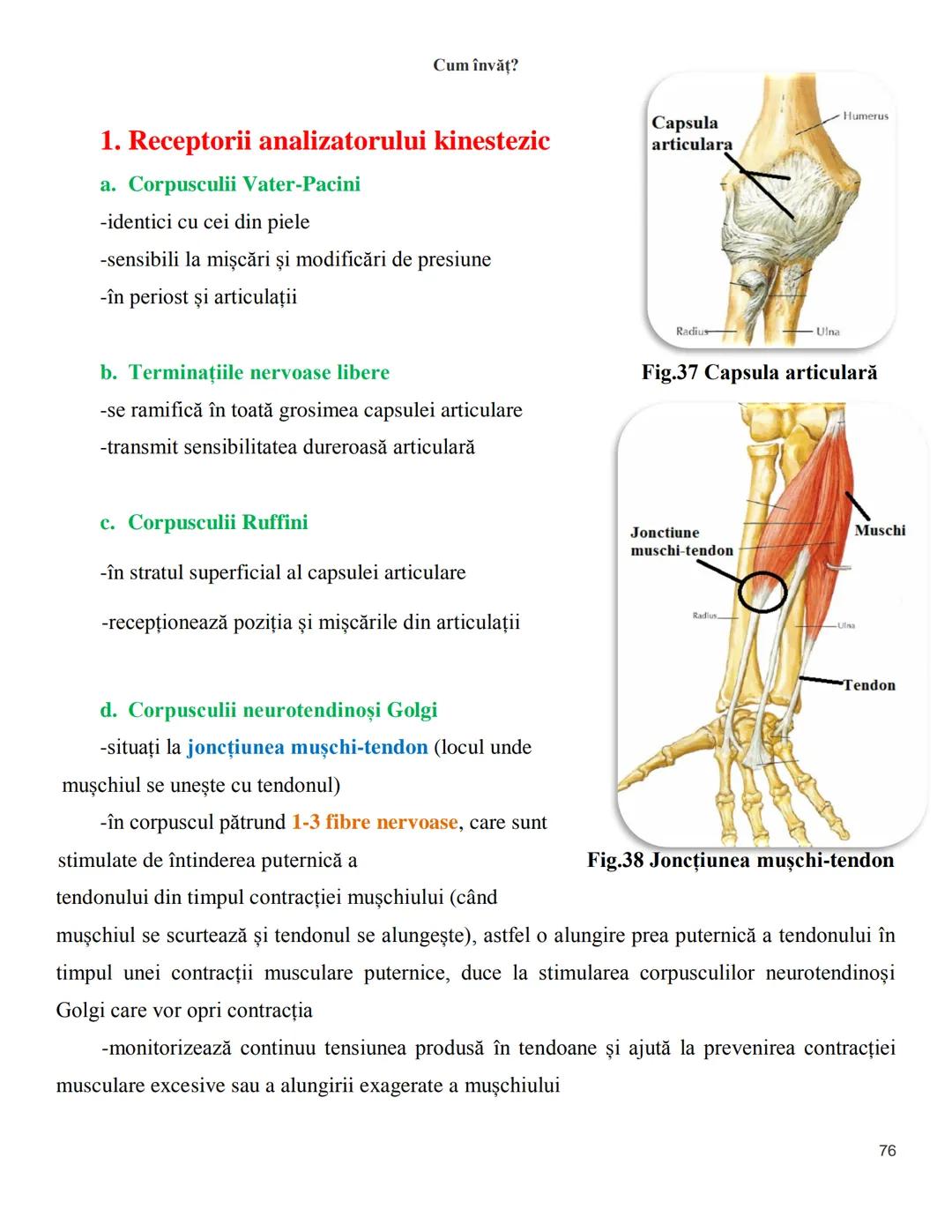 NOTITE ADMITETRE
MEDICINĂ
după Corint
2020
Vol. II
SISTEMUL NERVOS,
ANALIZATORII
Cum
invat?
Cum învăț? Cum
vat?
Cum învăţ?
YouTube
YouTube h