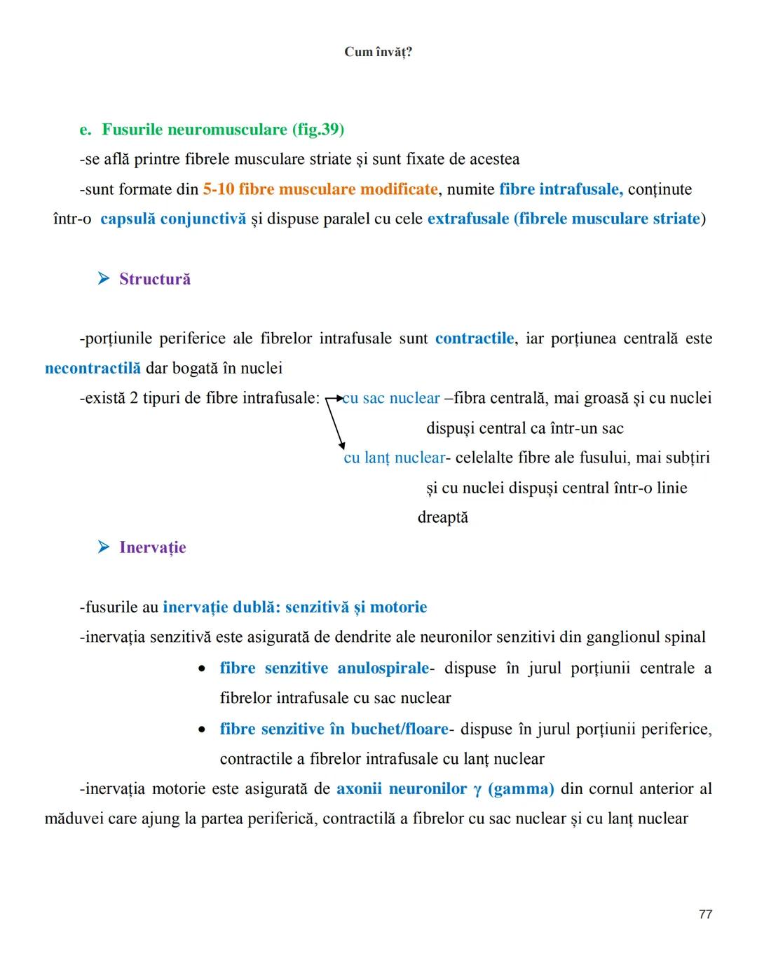NOTITE ADMITETRE
MEDICINĂ
după Corint
2020
Vol. II
SISTEMUL NERVOS,
ANALIZATORII
Cum
invat?
Cum învăț? Cum
vat?
Cum învăţ?
YouTube
YouTube h