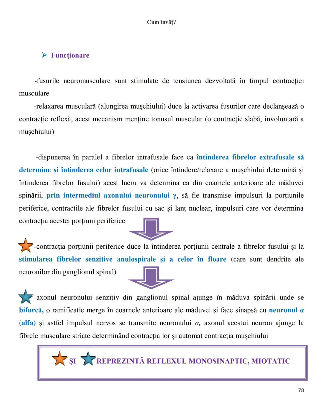 NOTITE ADMITETRE
MEDICINĂ
după Corint
2020
Vol. II
SISTEMUL NERVOS,
ANALIZATORII
Cum
invat?
Cum învăț? Cum
vat?
Cum învăţ?
YouTube
YouTube h