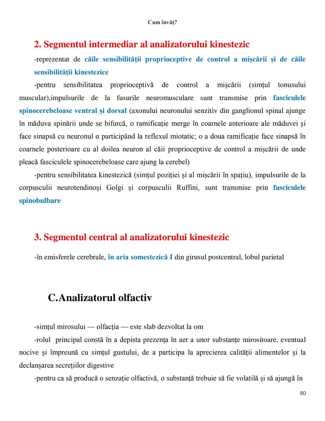 NOTITE ADMITETRE
MEDICINĂ
după Corint
2020
Vol. II
SISTEMUL NERVOS,
ANALIZATORII
Cum
invat?
Cum învăț? Cum
vat?
Cum învăţ?
YouTube
YouTube h
