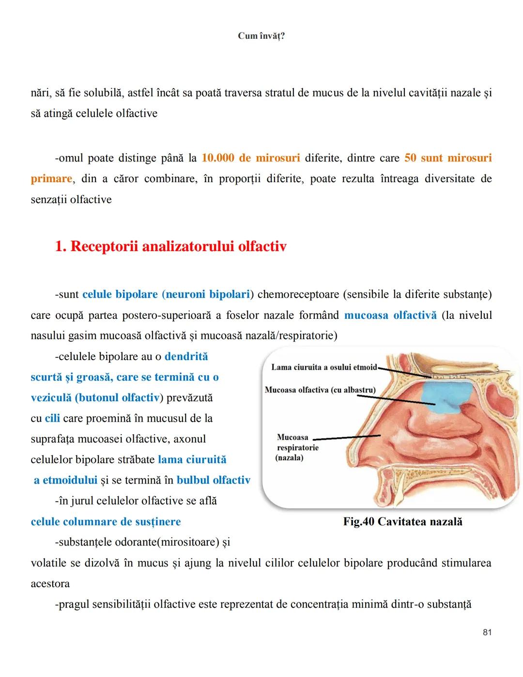 NOTITE ADMITETRE
MEDICINĂ
după Corint
2020
Vol. II
SISTEMUL NERVOS,
ANALIZATORII
Cum
invat?
Cum învăț? Cum
vat?
Cum învăţ?
YouTube
YouTube h