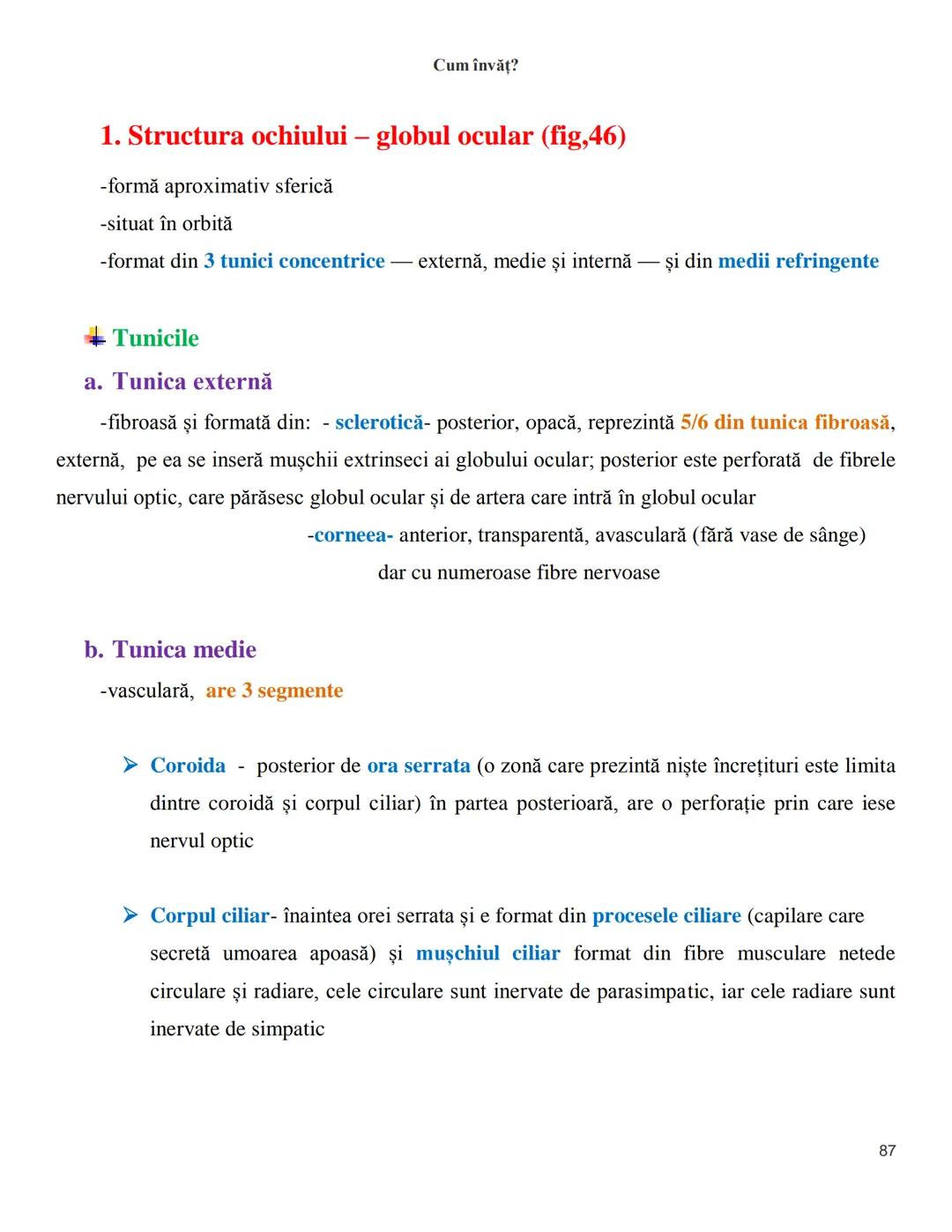 NOTITE ADMITETRE
MEDICINĂ
după Corint
2020
Vol. II
SISTEMUL NERVOS,
ANALIZATORII
Cum
invat?
Cum învăț? Cum
vat?
Cum învăţ?
YouTube
YouTube h