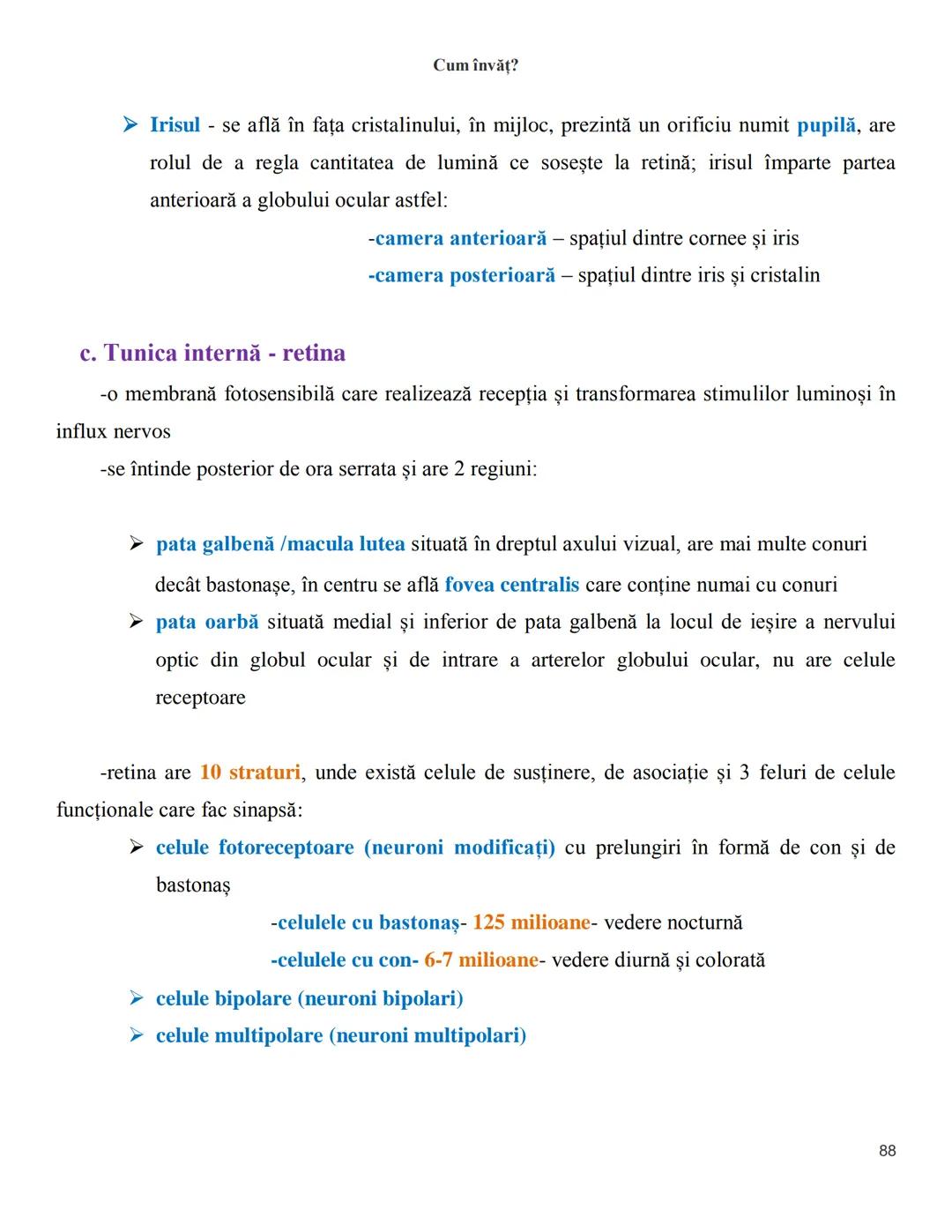 NOTITE ADMITETRE
MEDICINĂ
după Corint
2020
Vol. II
SISTEMUL NERVOS,
ANALIZATORII
Cum
invat?
Cum învăț? Cum
vat?
Cum învăţ?
YouTube
YouTube h