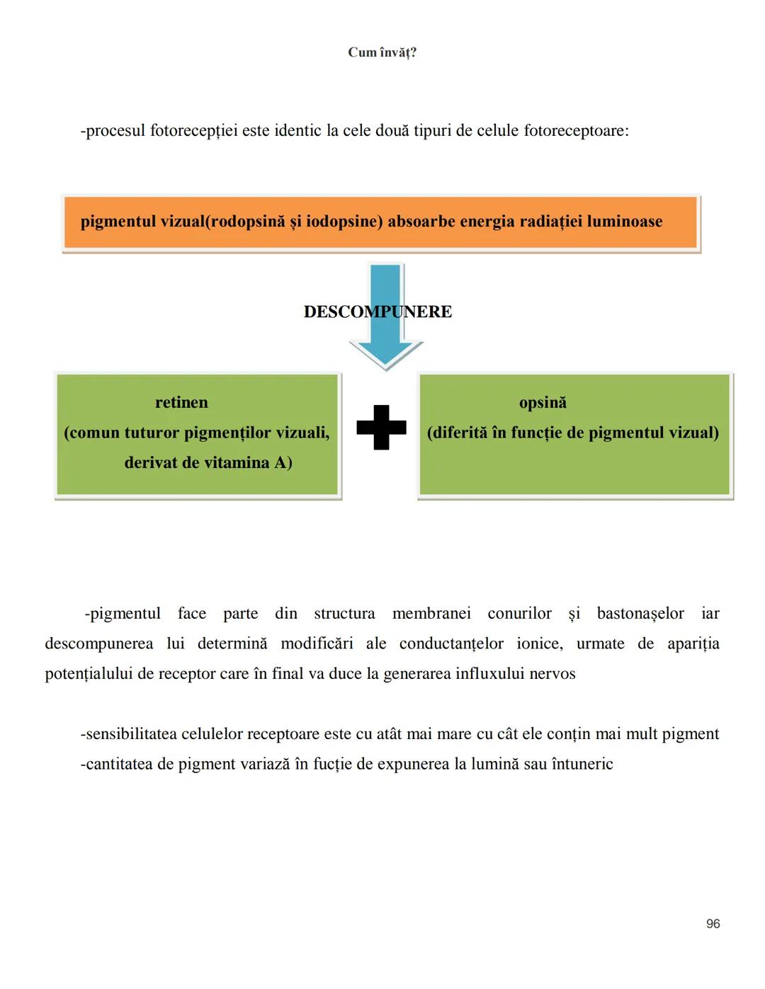 NOTITE ADMITETRE
MEDICINĂ
după Corint
2020
Vol. II
SISTEMUL NERVOS,
ANALIZATORII
Cum
invat?
Cum învăț? Cum
vat?
Cum învăţ?
YouTube
YouTube h
