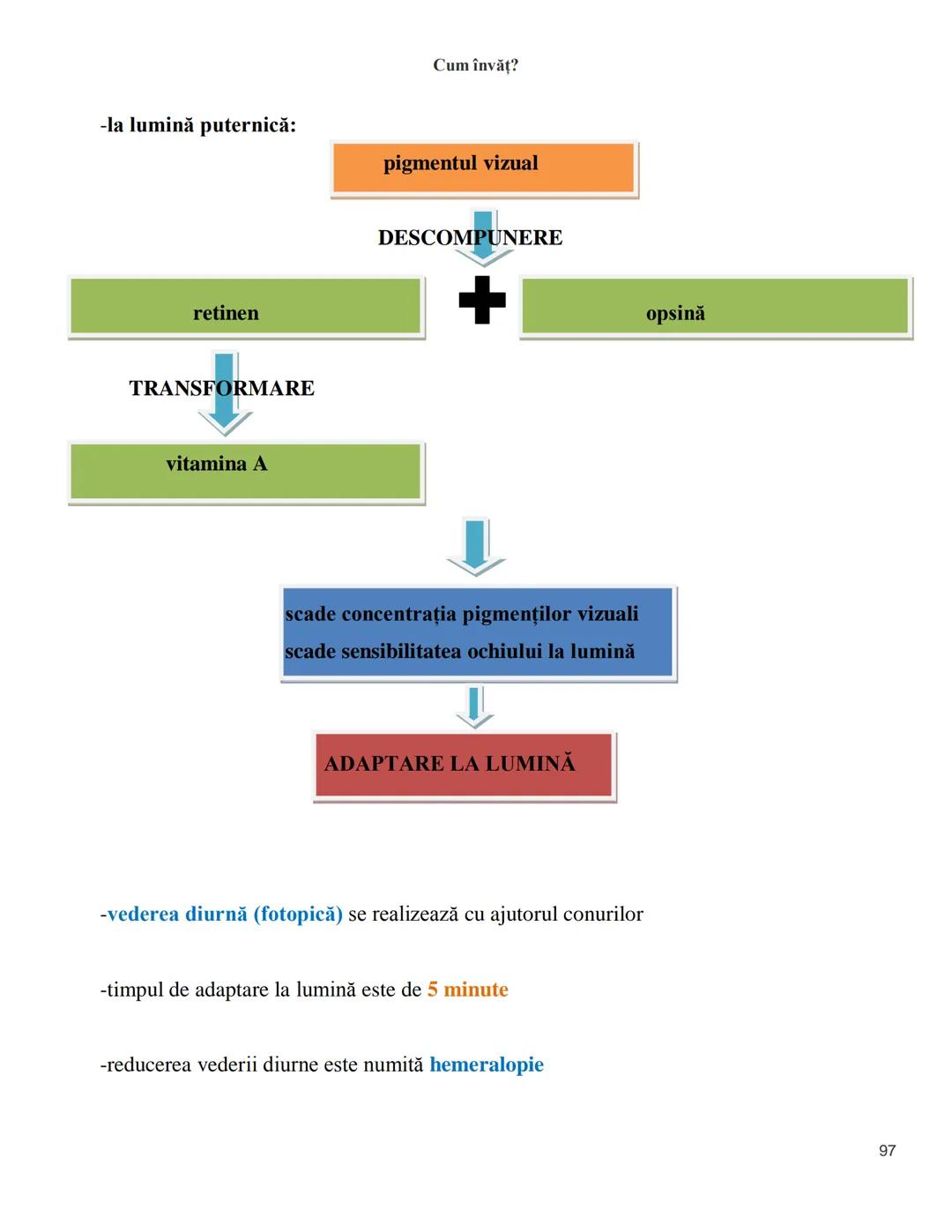 NOTITE ADMITETRE
MEDICINĂ
după Corint
2020
Vol. II
SISTEMUL NERVOS,
ANALIZATORII
Cum
invat?
Cum învăț? Cum
vat?
Cum învăţ?
YouTube
YouTube h
