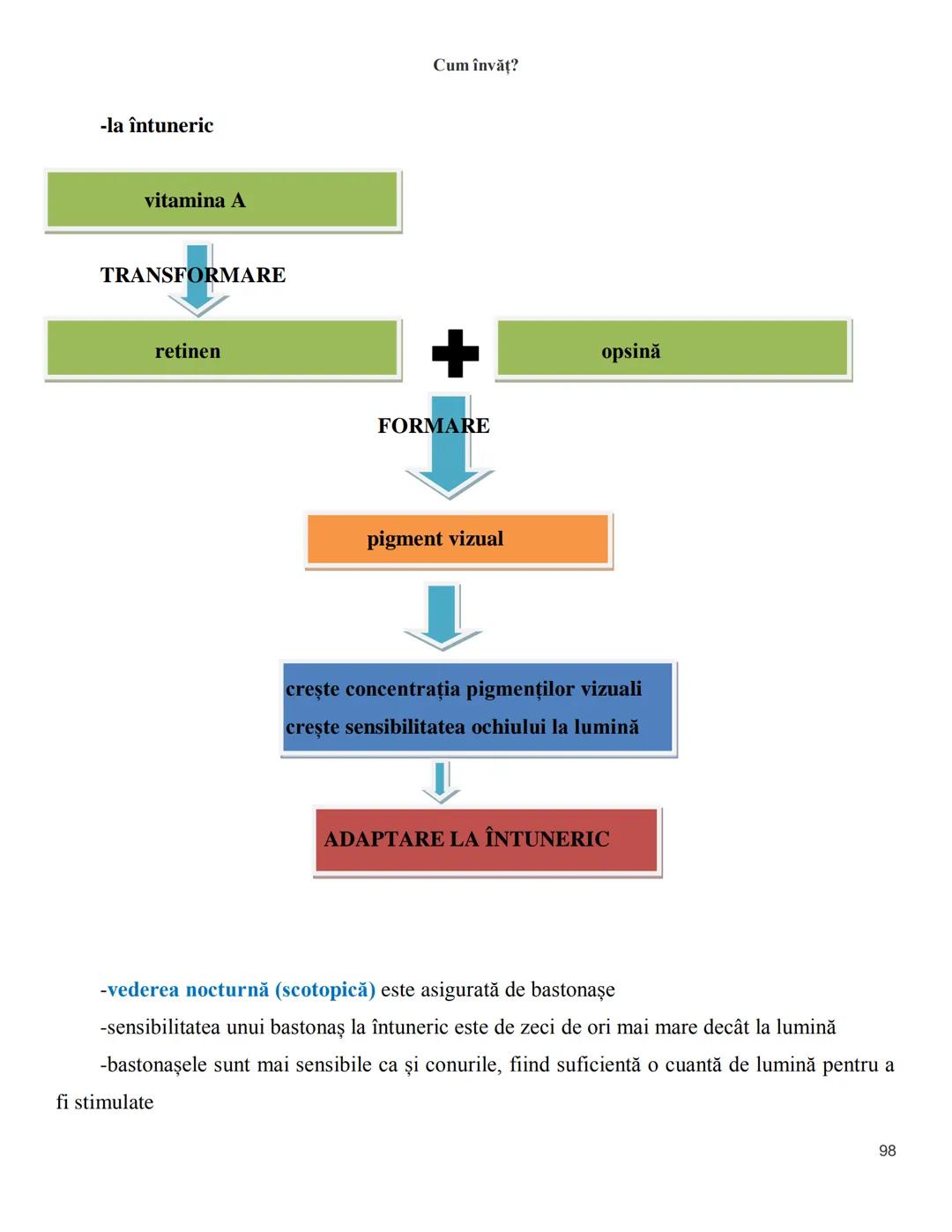 NOTITE ADMITETRE
MEDICINĂ
după Corint
2020
Vol. II
SISTEMUL NERVOS,
ANALIZATORII
Cum
invat?
Cum învăț? Cum
vat?
Cum învăţ?
YouTube
YouTube h