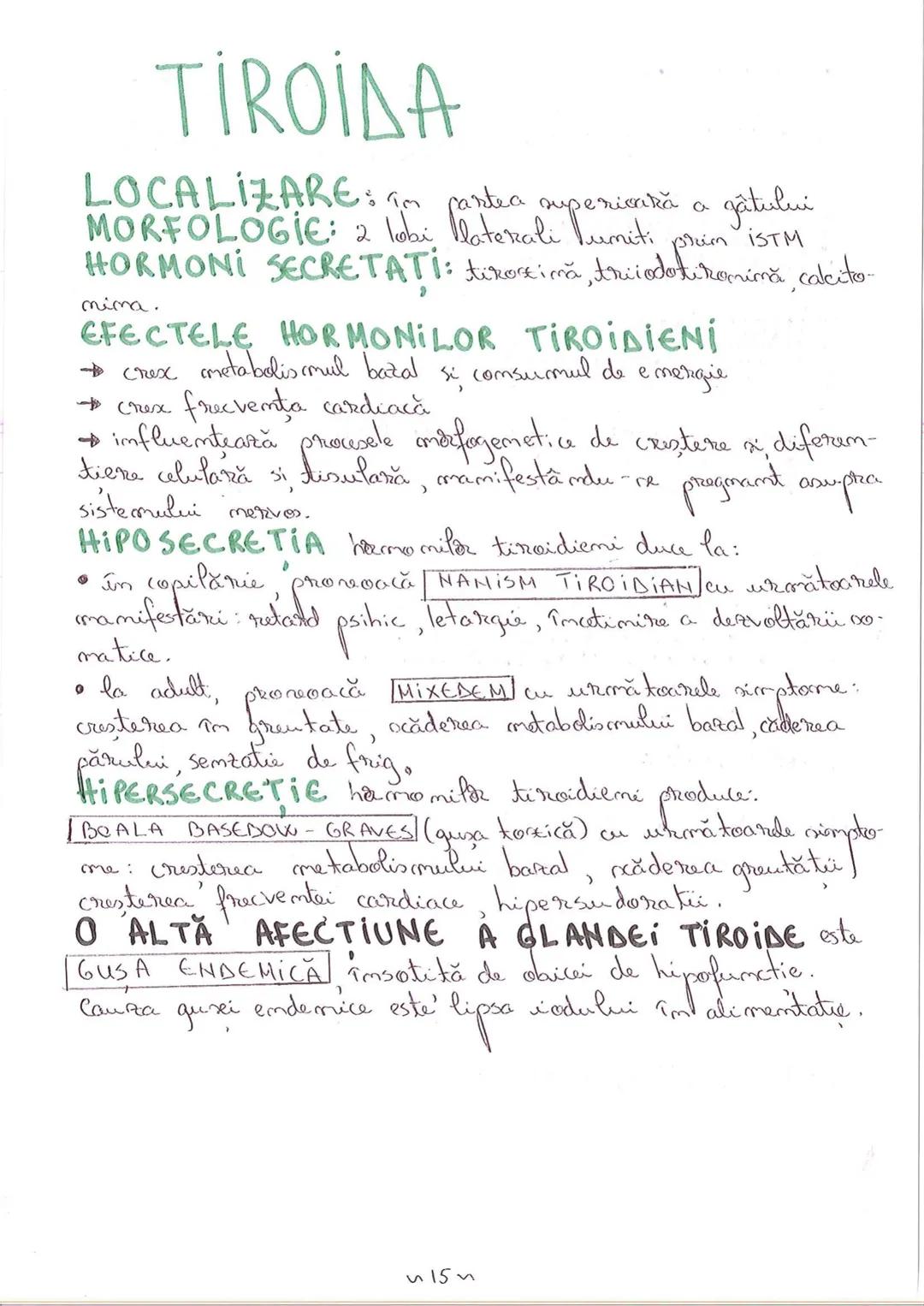 # SEGMENTELE CORPULUI
# UMAN
I CAP - alcătuit din → NEUROCRANIU
→ VISCEROCRANIU
II GÂT
III TRUNCHI format din → TORACE sunt separate de
→ AB