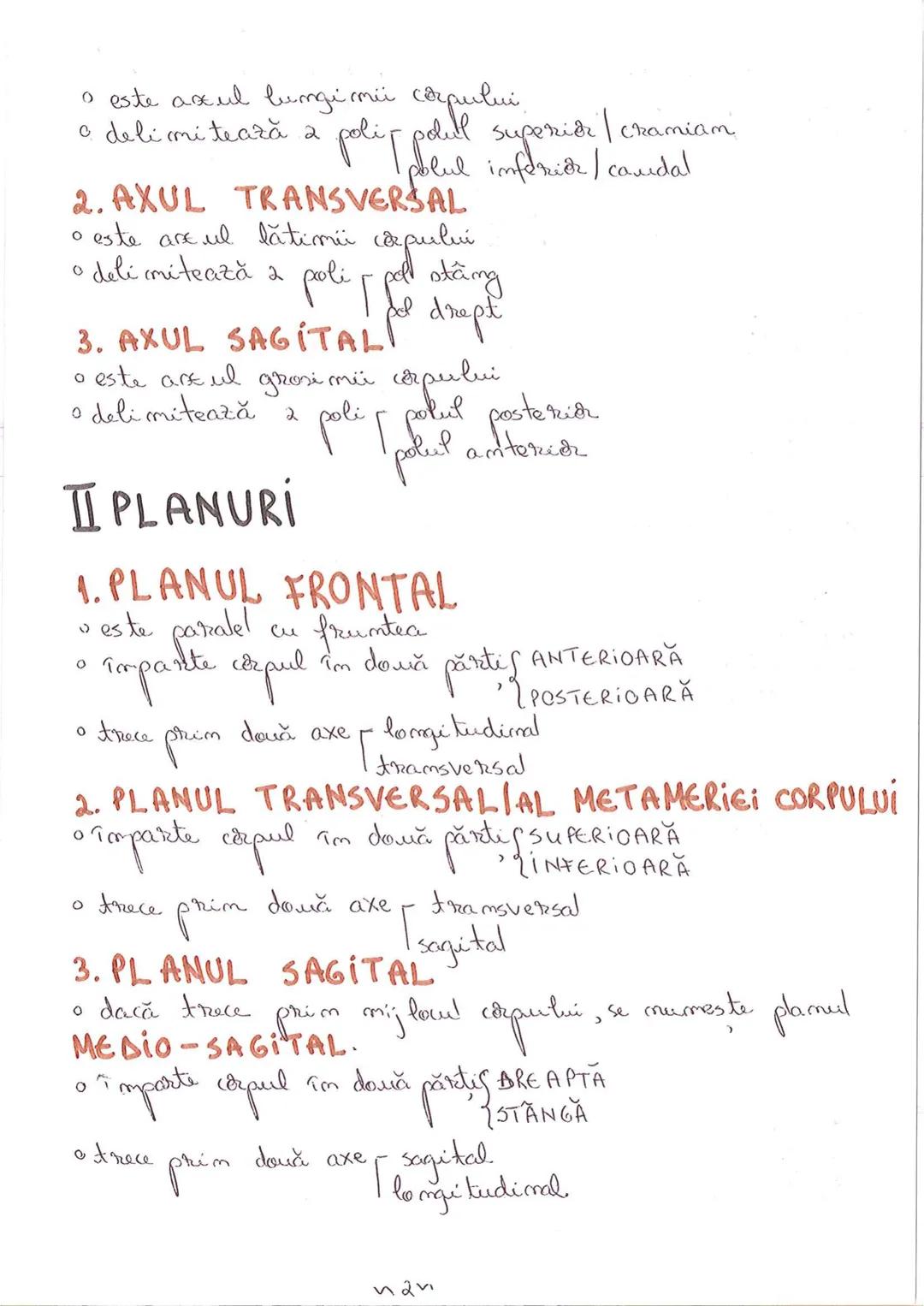 # SEGMENTELE CORPULUI
# UMAN
I CAP - alcătuit din → NEUROCRANIU
→ VISCEROCRANIU
II GÂT
III TRUNCHI format din → TORACE sunt separate de
→ AB