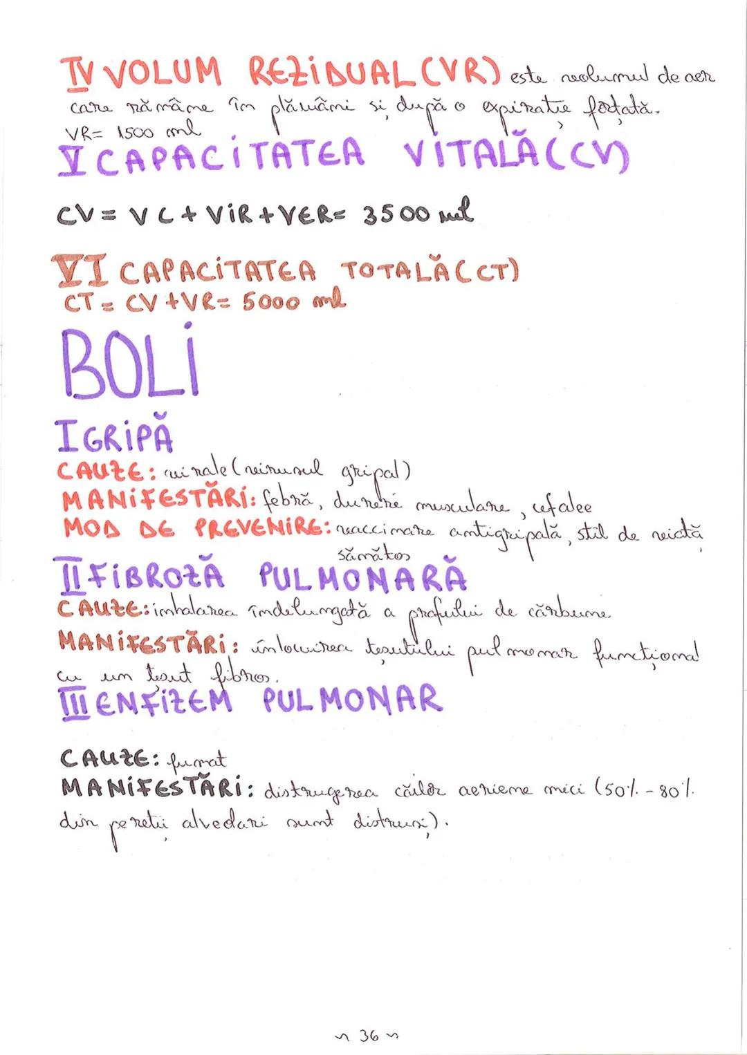 # SEGMENTELE CORPULUI
# UMAN
I CAP - alcătuit din → NEUROCRANIU
→ VISCEROCRANIU
II GÂT
III TRUNCHI format din → TORACE sunt separate de
→ AB
