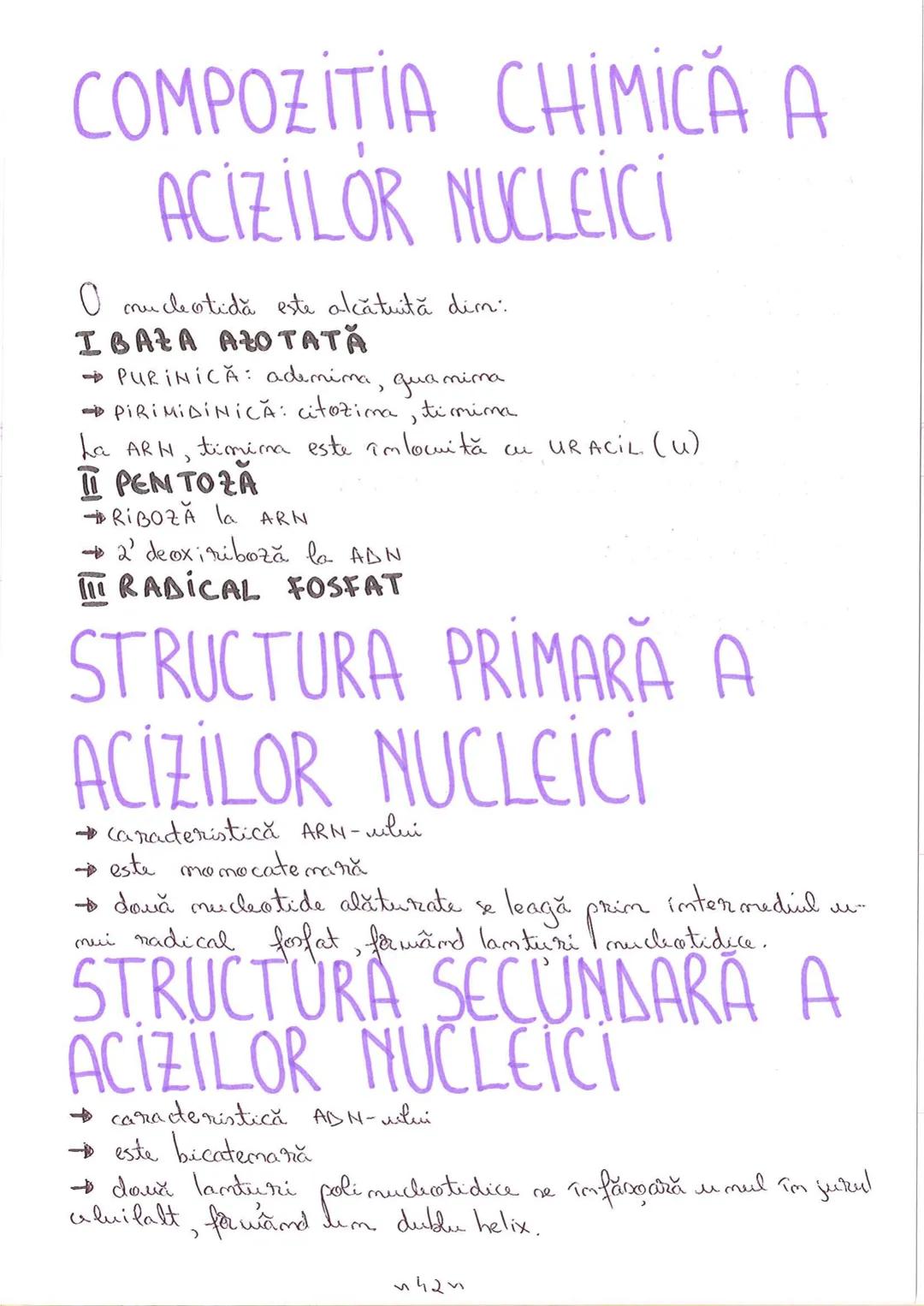 # SEGMENTELE CORPULUI
# UMAN
I CAP - alcătuit din → NEUROCRANIU
→ VISCEROCRANIU
II GÂT
III TRUNCHI format din → TORACE sunt separate de
→ AB