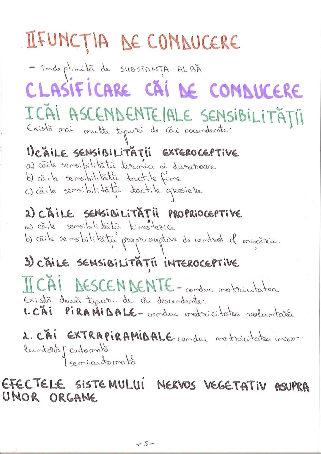 # SEGMENTELE CORPULUI
# UMAN
I CAP - alcătuit din → NEUROCRANIU
→ VISCEROCRANIU
II GÂT
III TRUNCHI format din → TORACE sunt separate de
→ AB