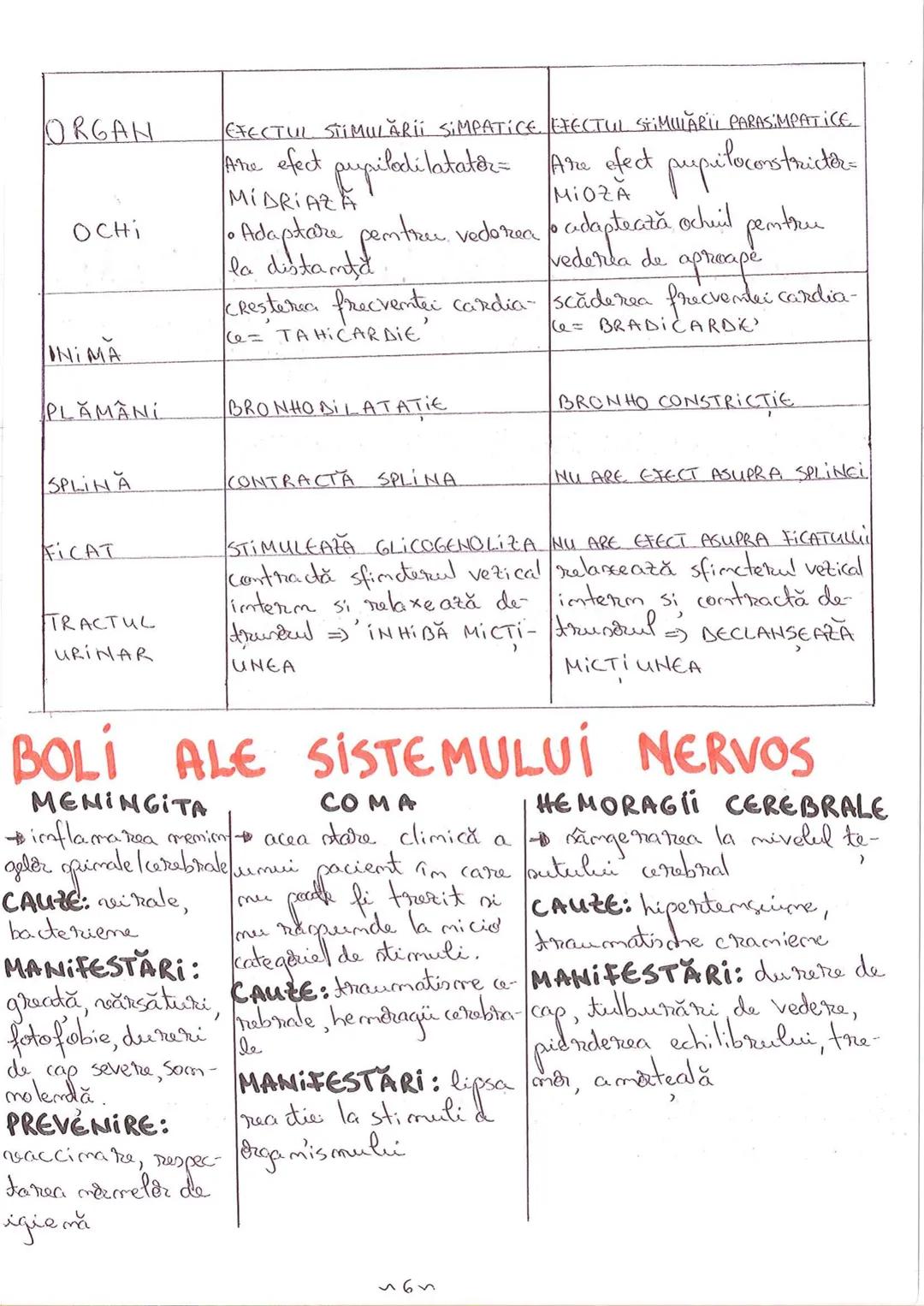 # SEGMENTELE CORPULUI
# UMAN
I CAP - alcătuit din → NEUROCRANIU
→ VISCEROCRANIU
II GÂT
III TRUNCHI format din → TORACE sunt separate de
→ AB