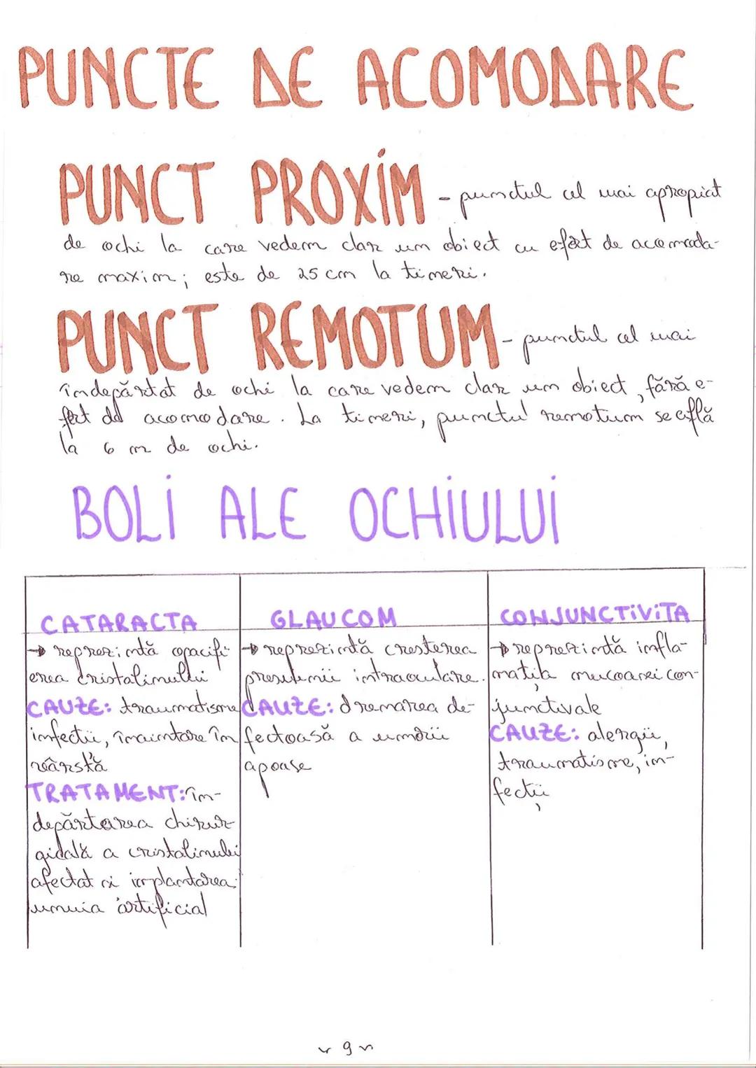 # SEGMENTELE CORPULUI
# UMAN
I CAP - alcătuit din → NEUROCRANIU
→ VISCEROCRANIU
II GÂT
III TRUNCHI format din → TORACE sunt separate de
→ AB