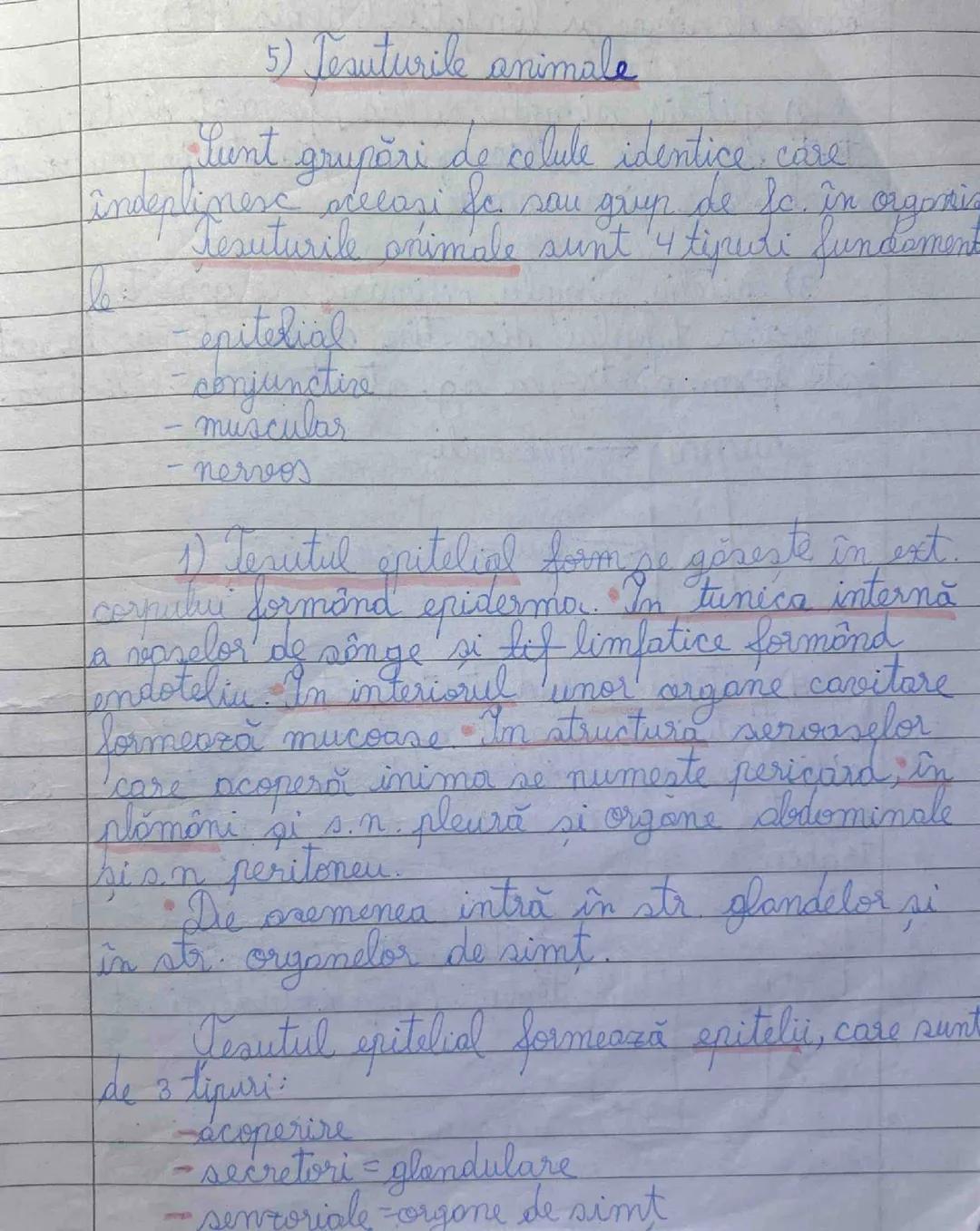 Tesuturi animale (epitelial+conjuctiv complet) partea 1
