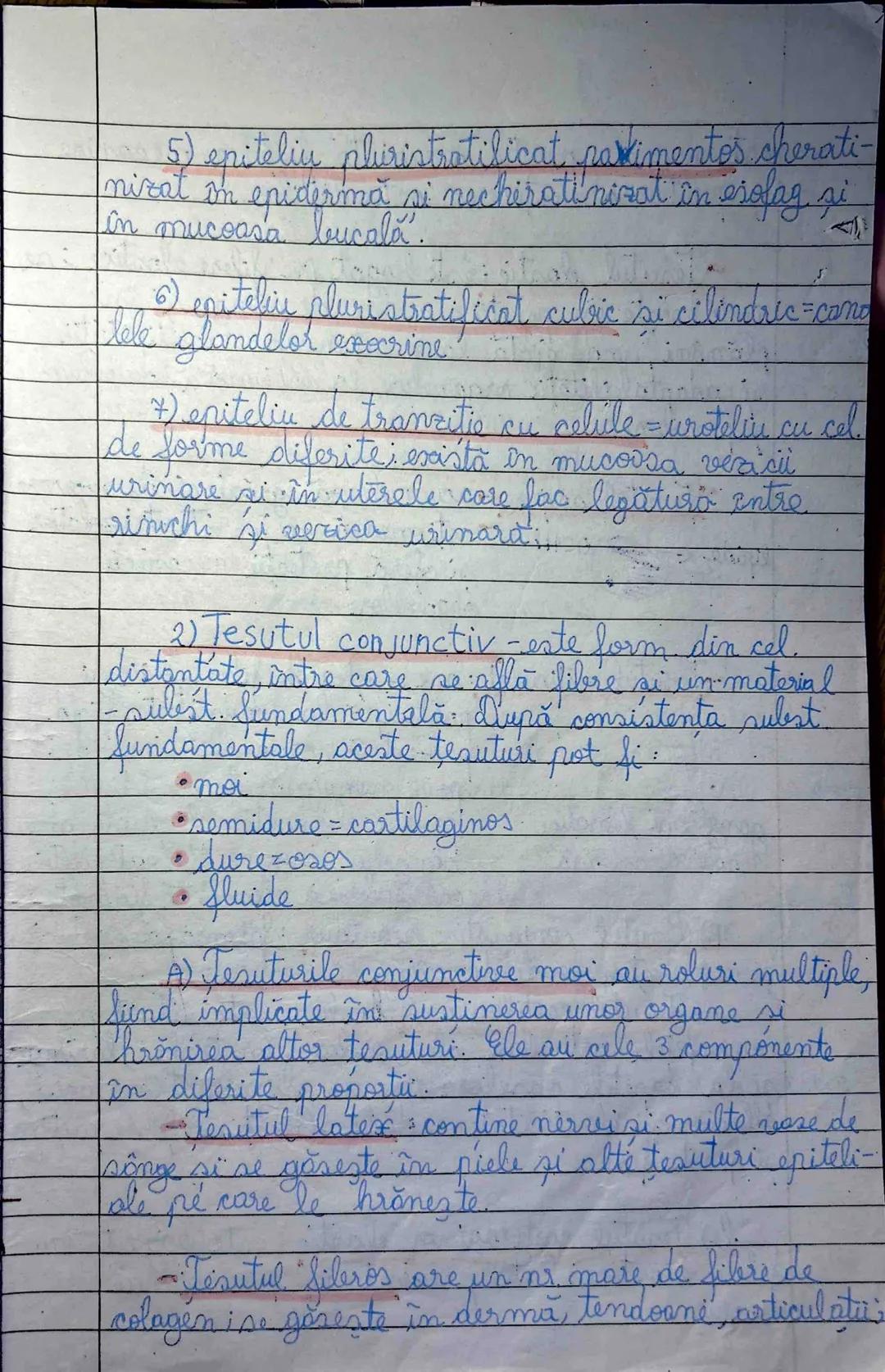5) Țesuturile animale
Sunt grupări de celule identice care
îndeplinesc aceeași f. sau grup de f. în organism
Țesuturile animale sunt 4 tipur