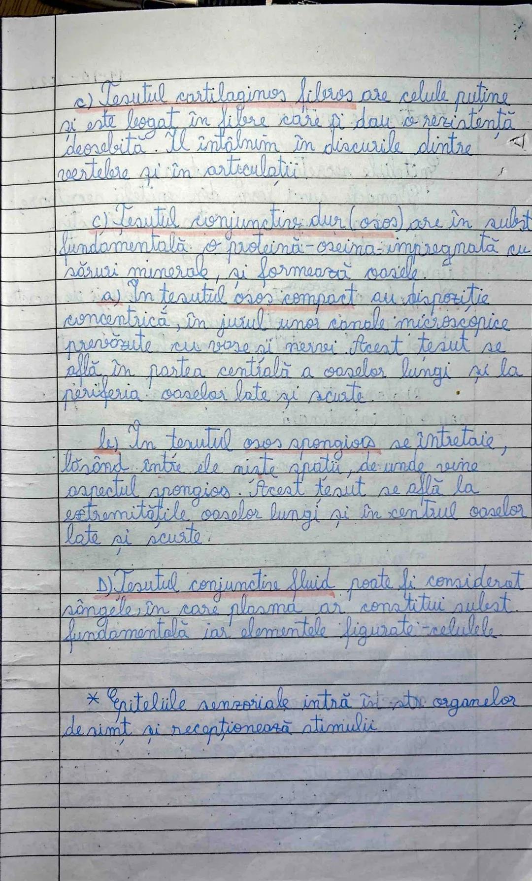 5) Țesuturile animale
Sunt grupări de celule identice care
îndeplinesc aceeași f. sau grup de f. în organism
Țesuturile animale sunt 4 tipur