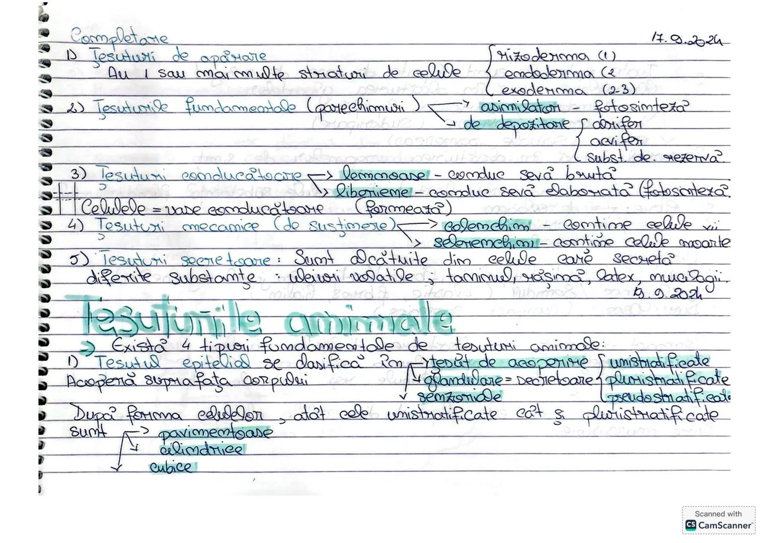 --- OCR Start ---
-
Tesutiunile vegetale
10.9.2024
-)
Tesutul este o grupare de celwe care au aceasi forma, structura şi
indeplimese aceaşi